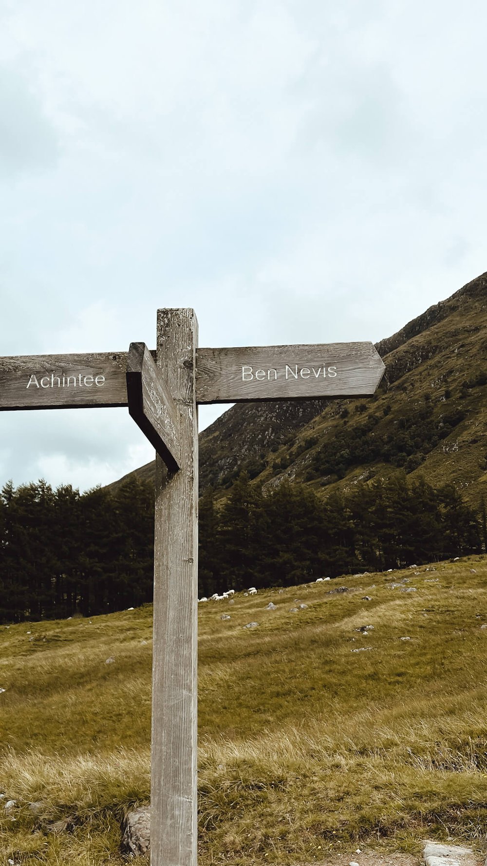 ben-nevis-climb-signpost.jpg