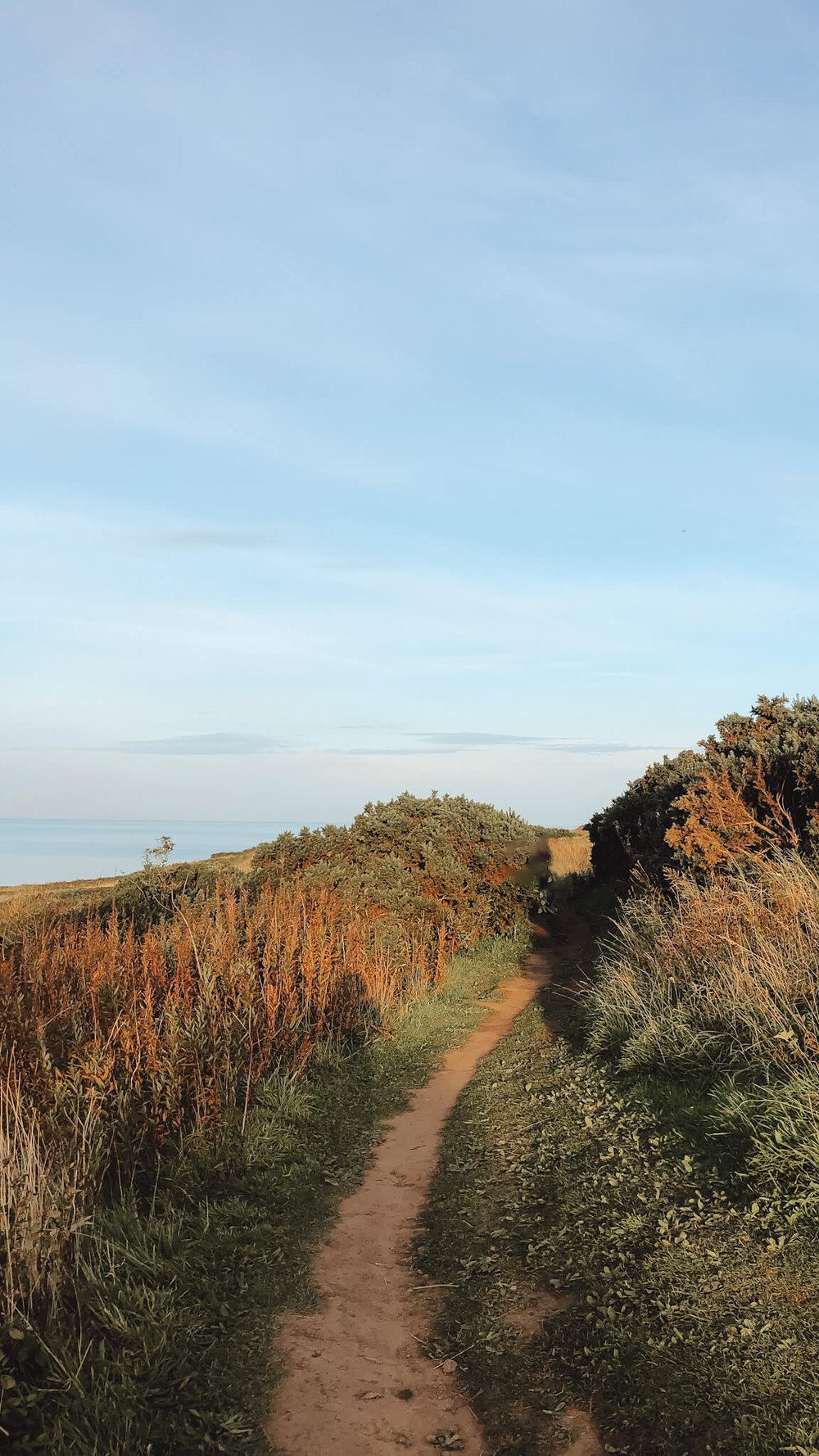 best-things-to-do-st-andrews-fife-coastal-path-clifftop-lesley-wanders.jpg