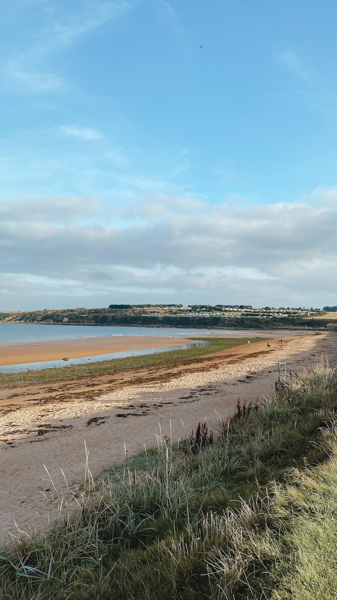 st-andrews-beach-how-to-visit-west-sands-lesley-wanders.jpg