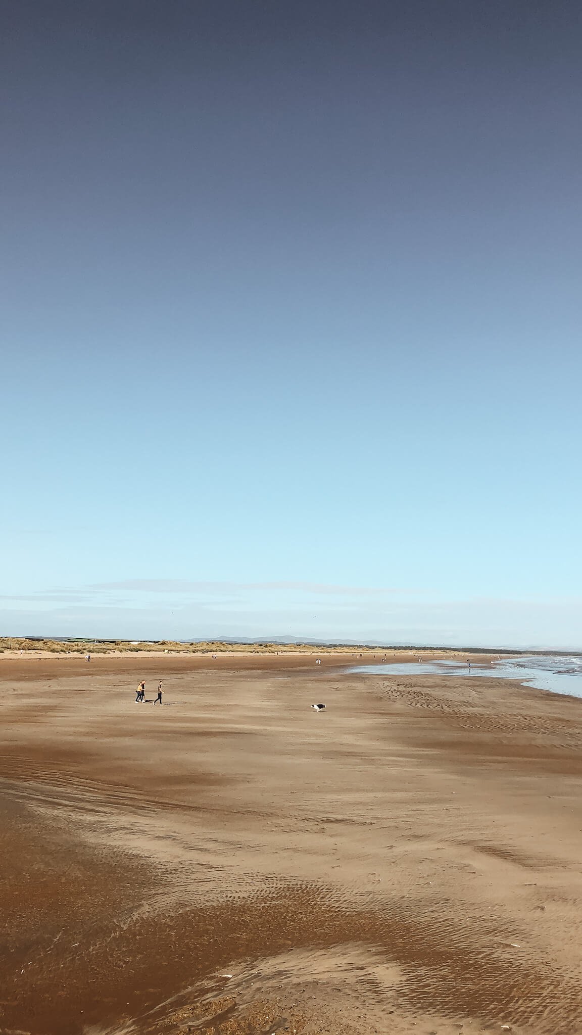 how-to-visit-st-andrews-beach-west-sands-lesley-wanders.jpg