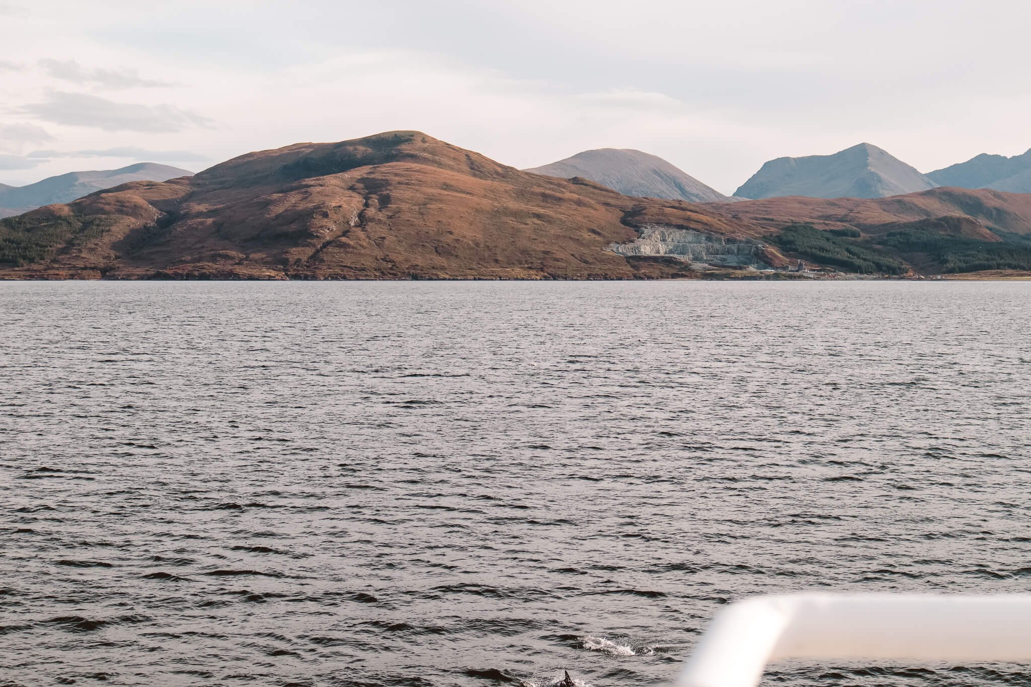 west-coast-scotland-road-trip-ferry-hopping.jpg