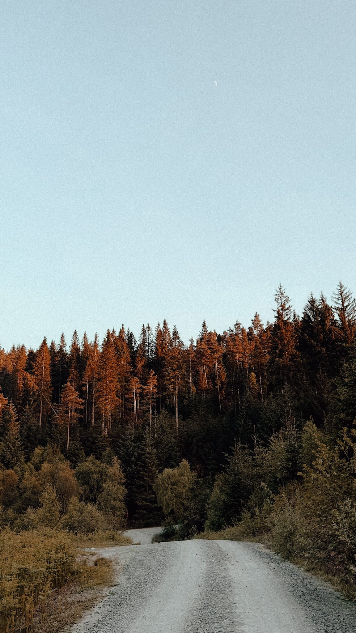 Scotland in October Trossachs National Park leaf peeping.jpg