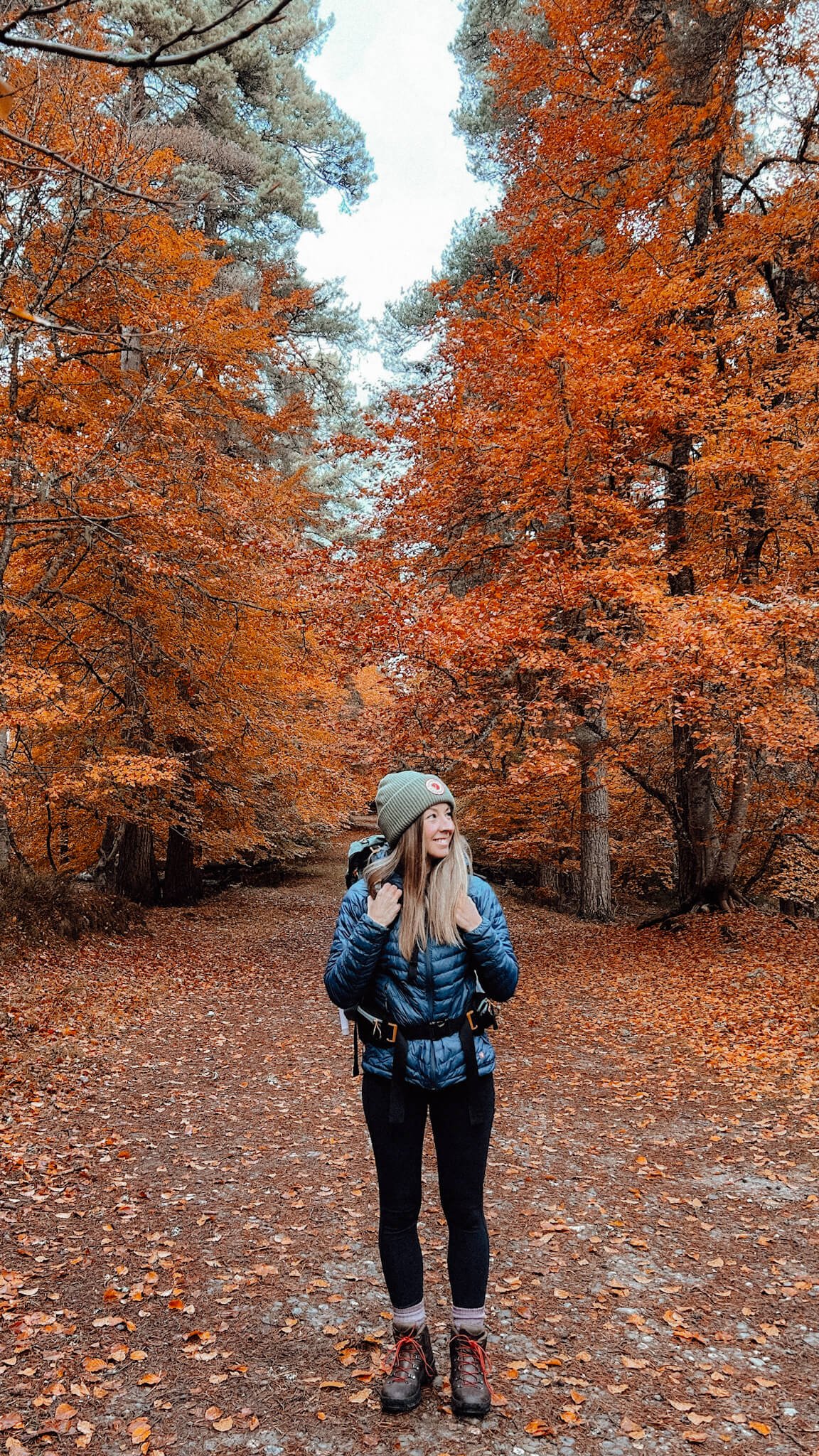 Best time to visit Scotland - autumn forest colours.jpg