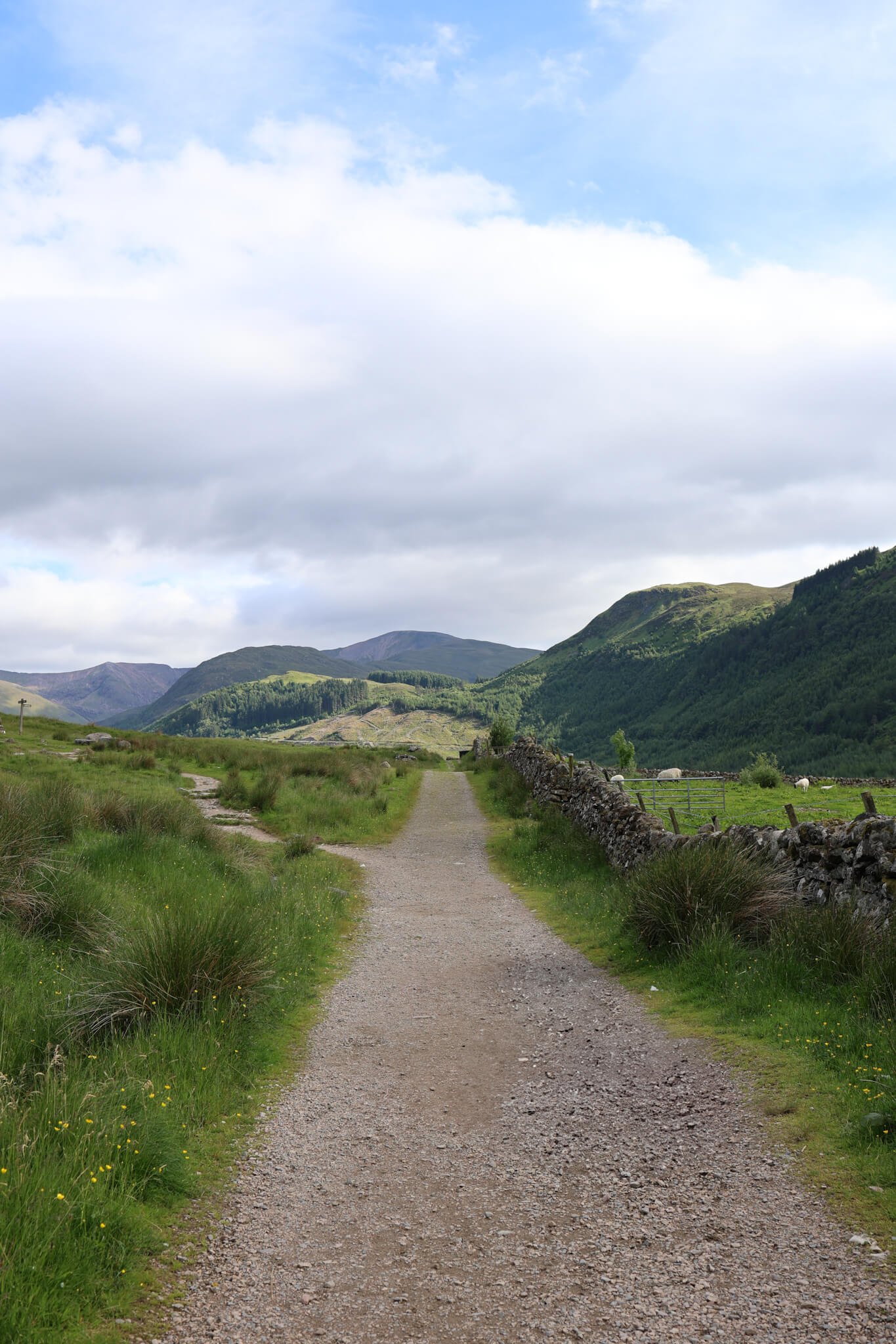 The Complete Guide To Climbing Ben Nevis: Route, Tips, & Essentials