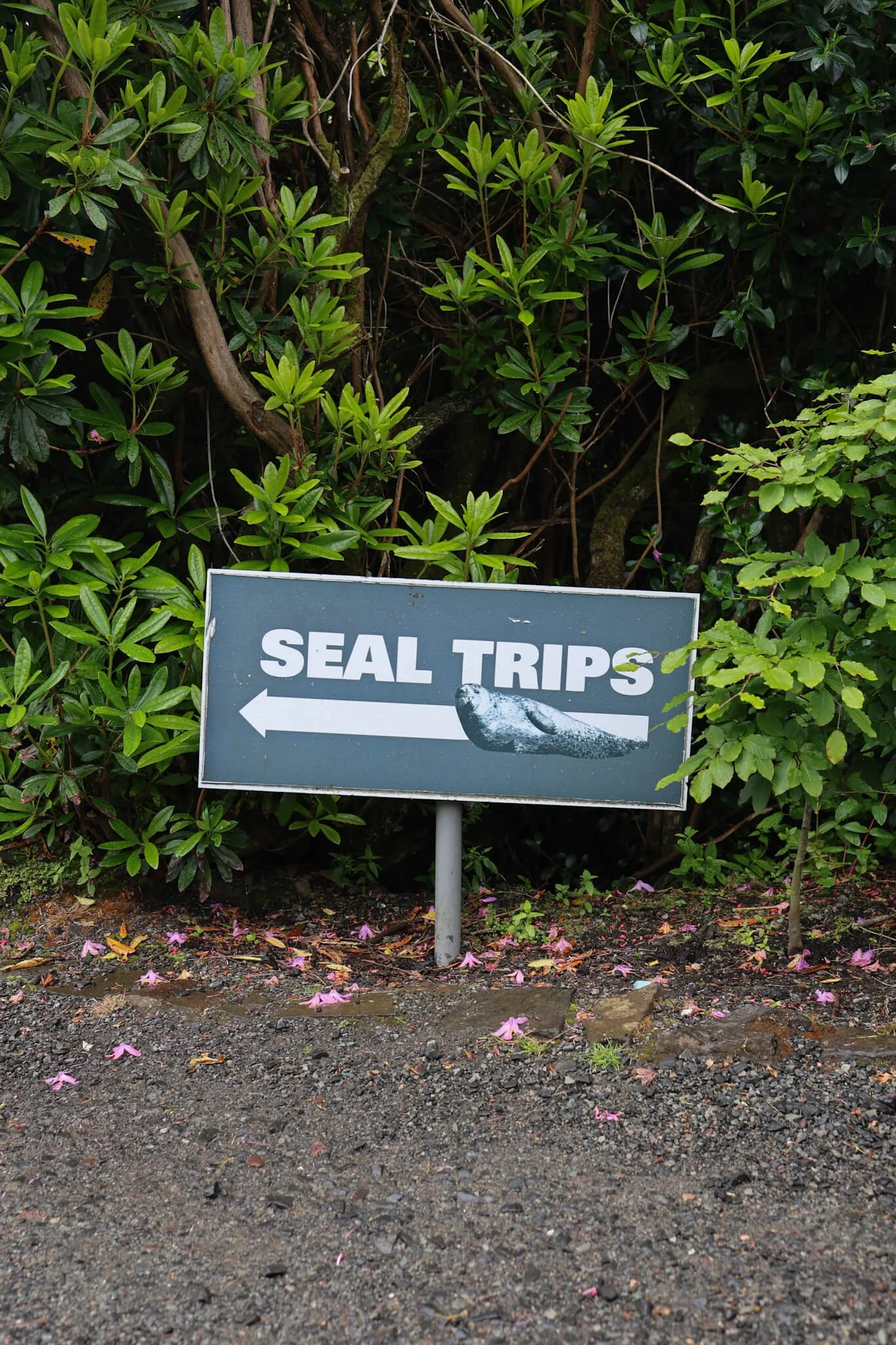Dunvegan-Castle-Seal-Boat-Trips-Helpful-Guide-Signpost-Wander-Scotland.jpg