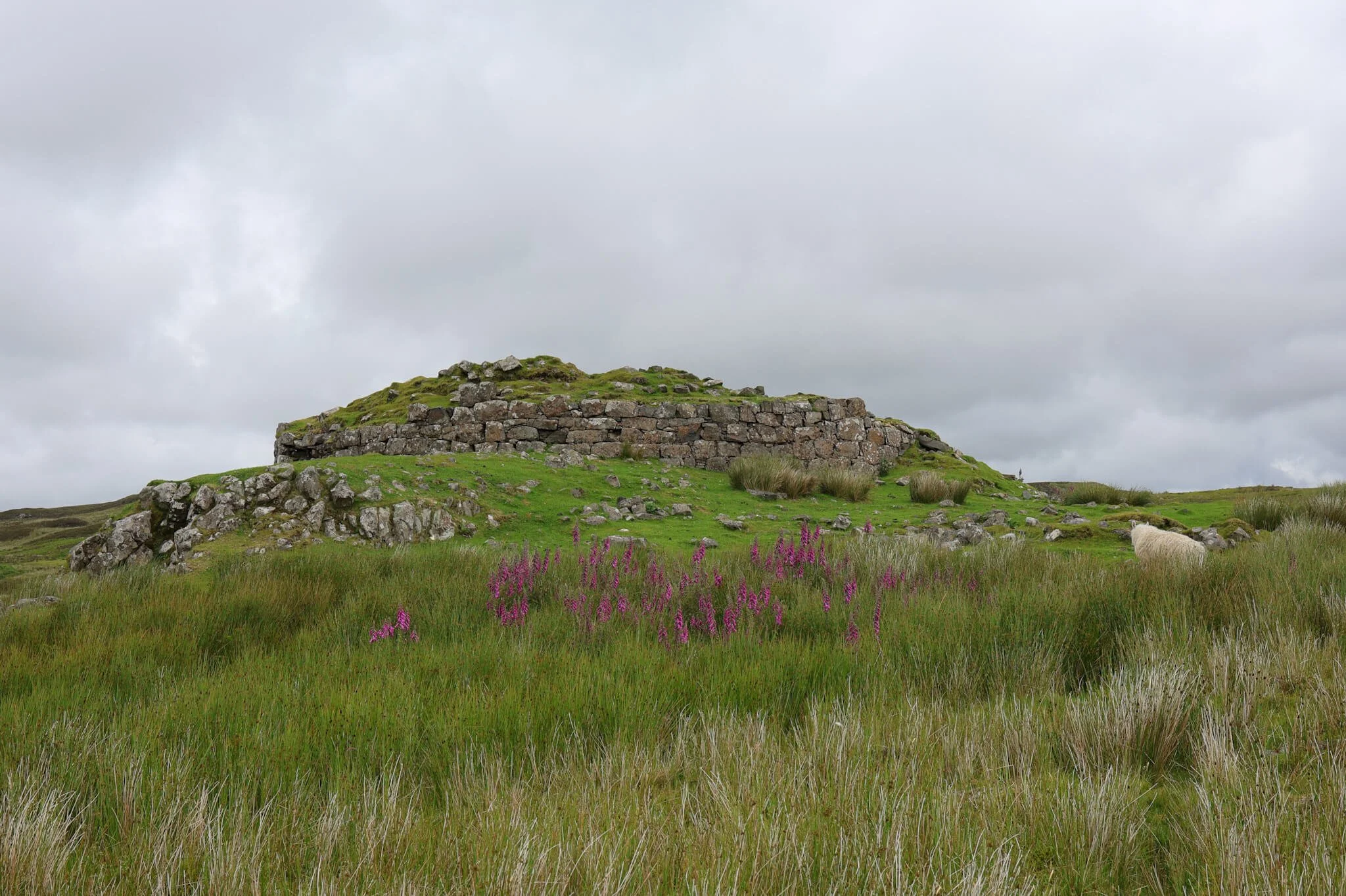 Dun-Beag-Broch-Skye-Remains-History-Wander-Scotland.jpg