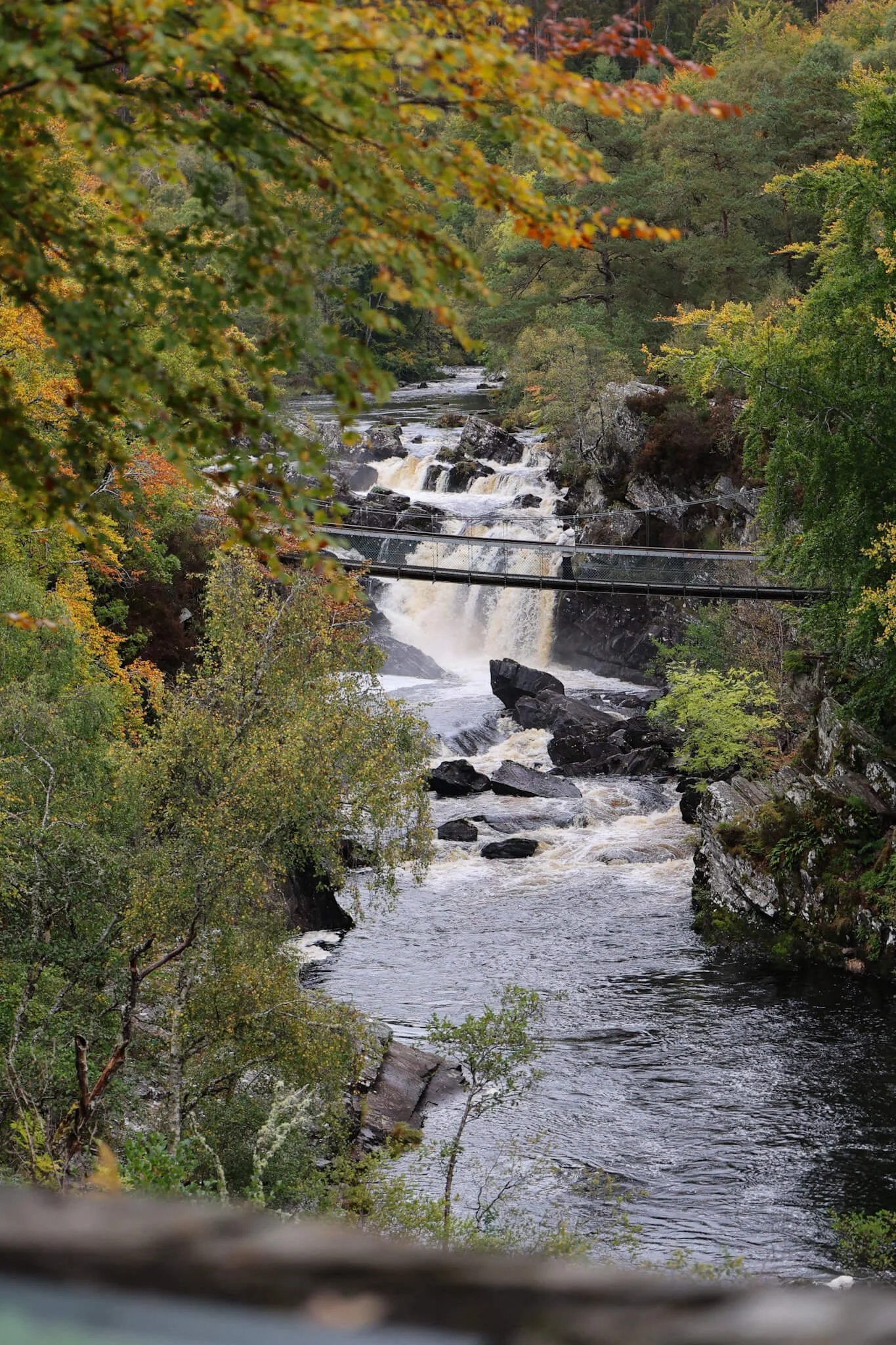 Beauly-Highlands-Day-Trip-Rogie-Falls-Wander-Scotland.jpg