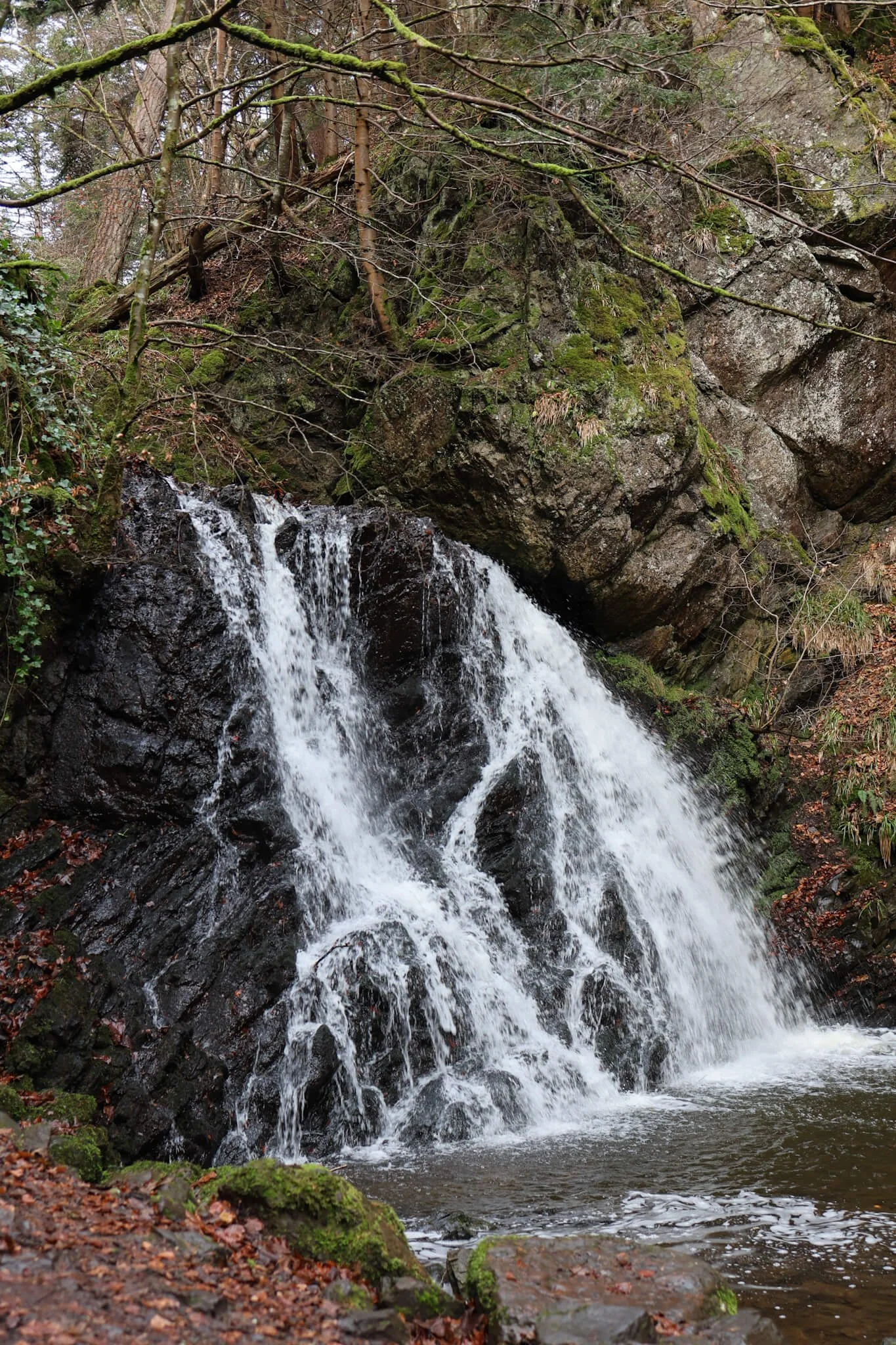 Fairy-Glen-Falls-Black-Isle-Wander-Scotland.jpg