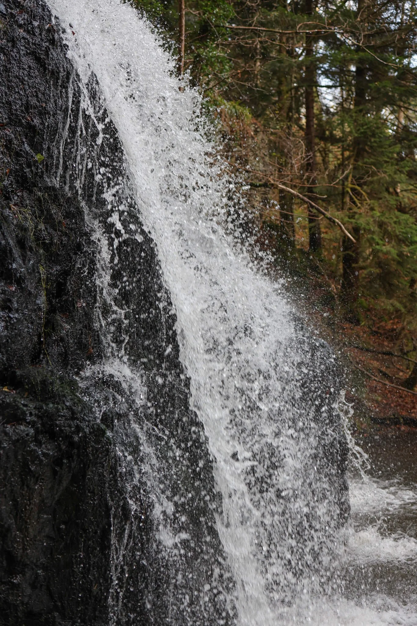 Fairy-Glen-Falls-Rosemarkie-Guide-Wander-Scotland.jpg