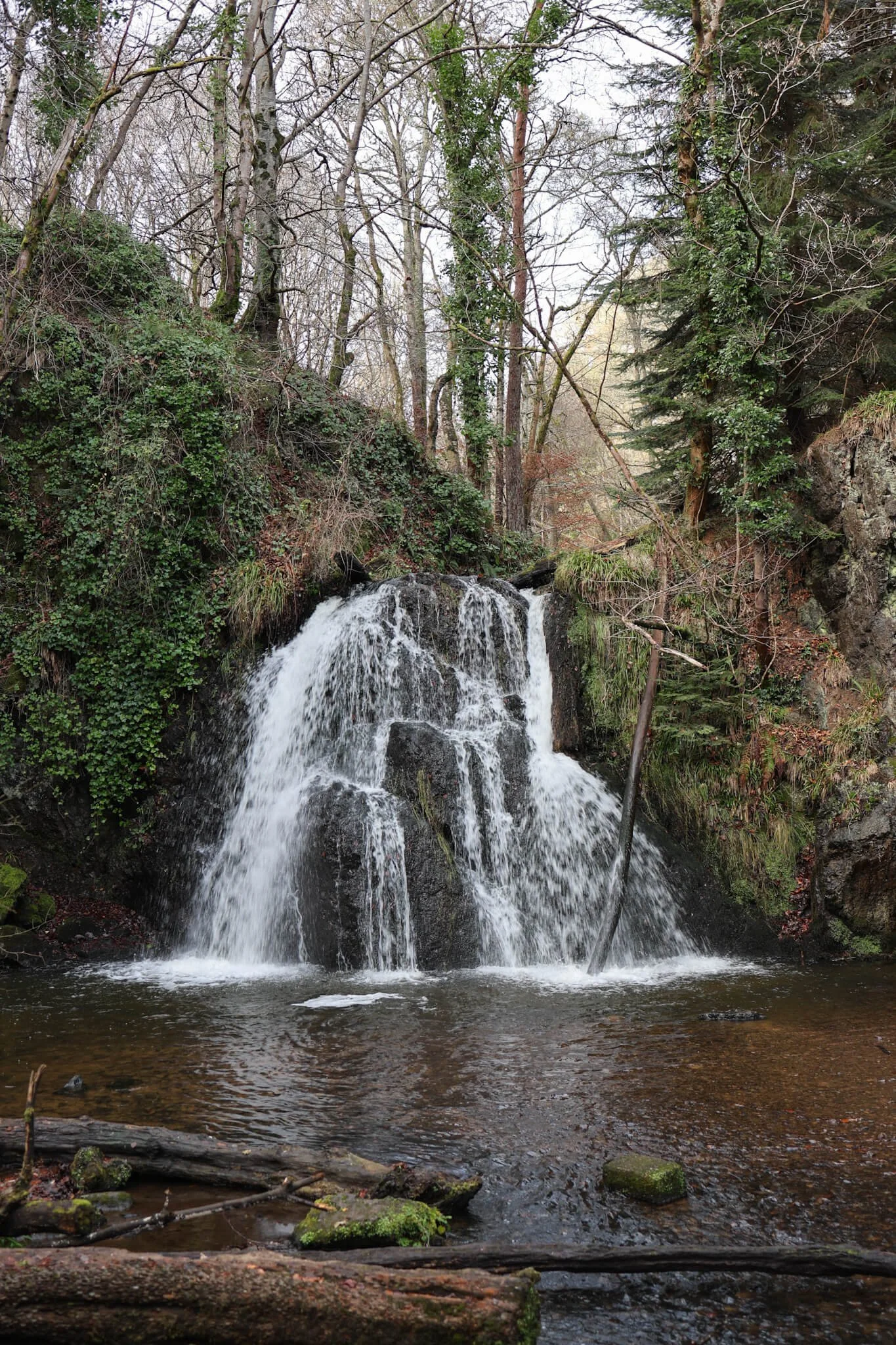 Fairy Glen Falls, Rosemarkie: A Woodland Walk on the Black Isle