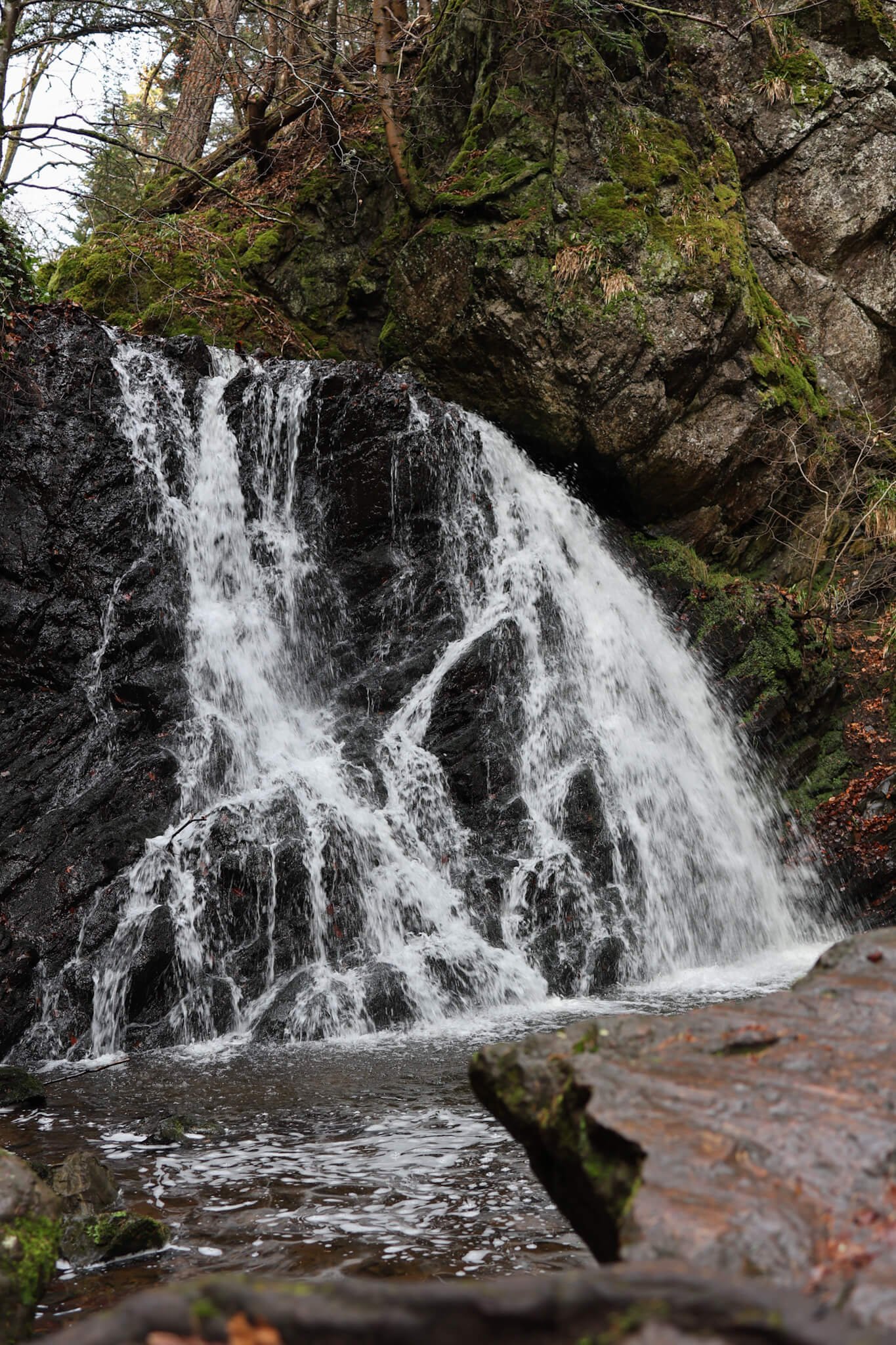 Fairy-Glen-Falls-Rosemarkie-Wander-Scotland.jpg