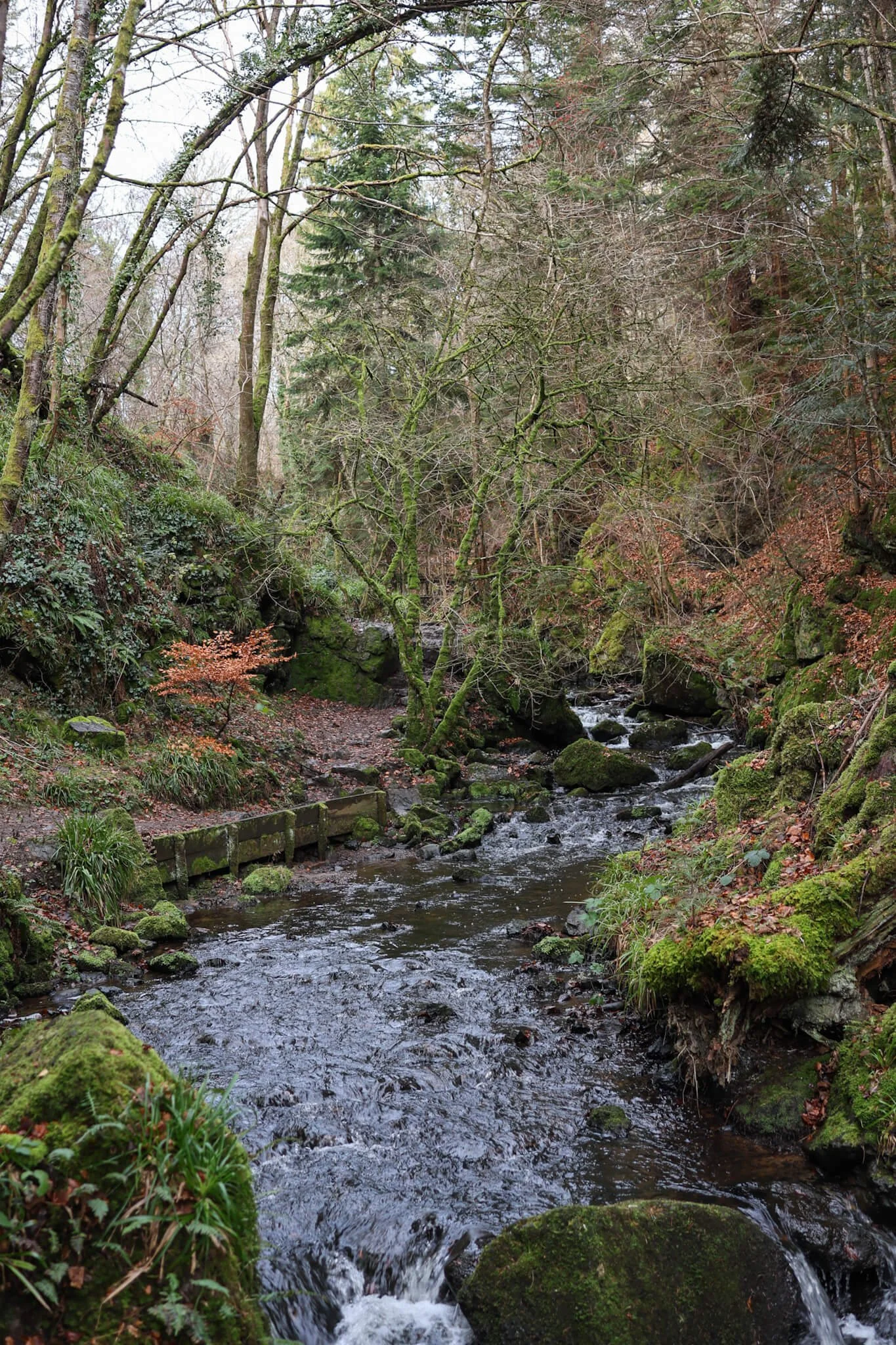 Fairy-Glen-Falls-Rosemarkie-Woodland-Trail-Wander-Scotland.jpg