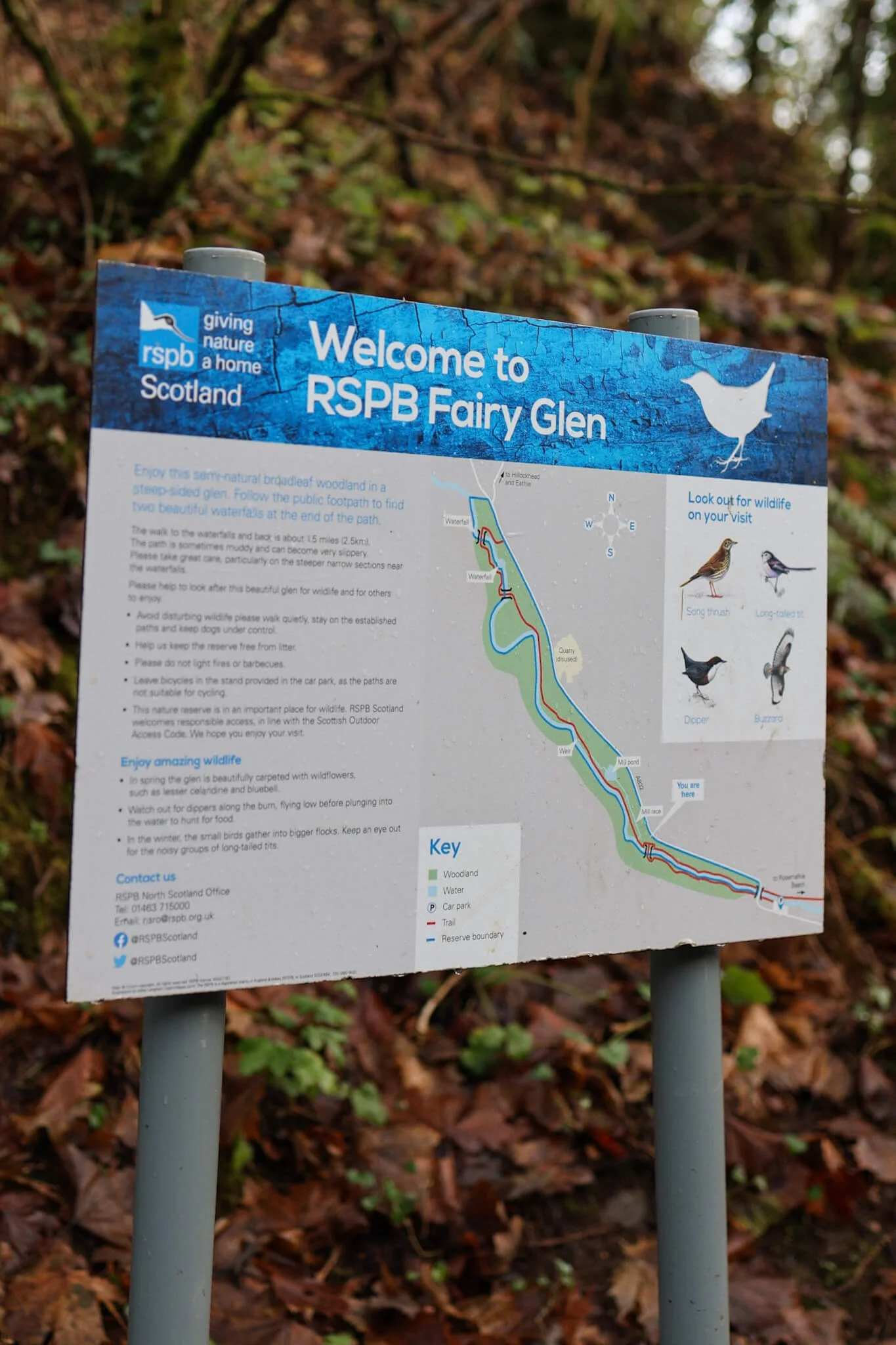 Fairy-Glen-RSPB-Wander-Scotland.jpg