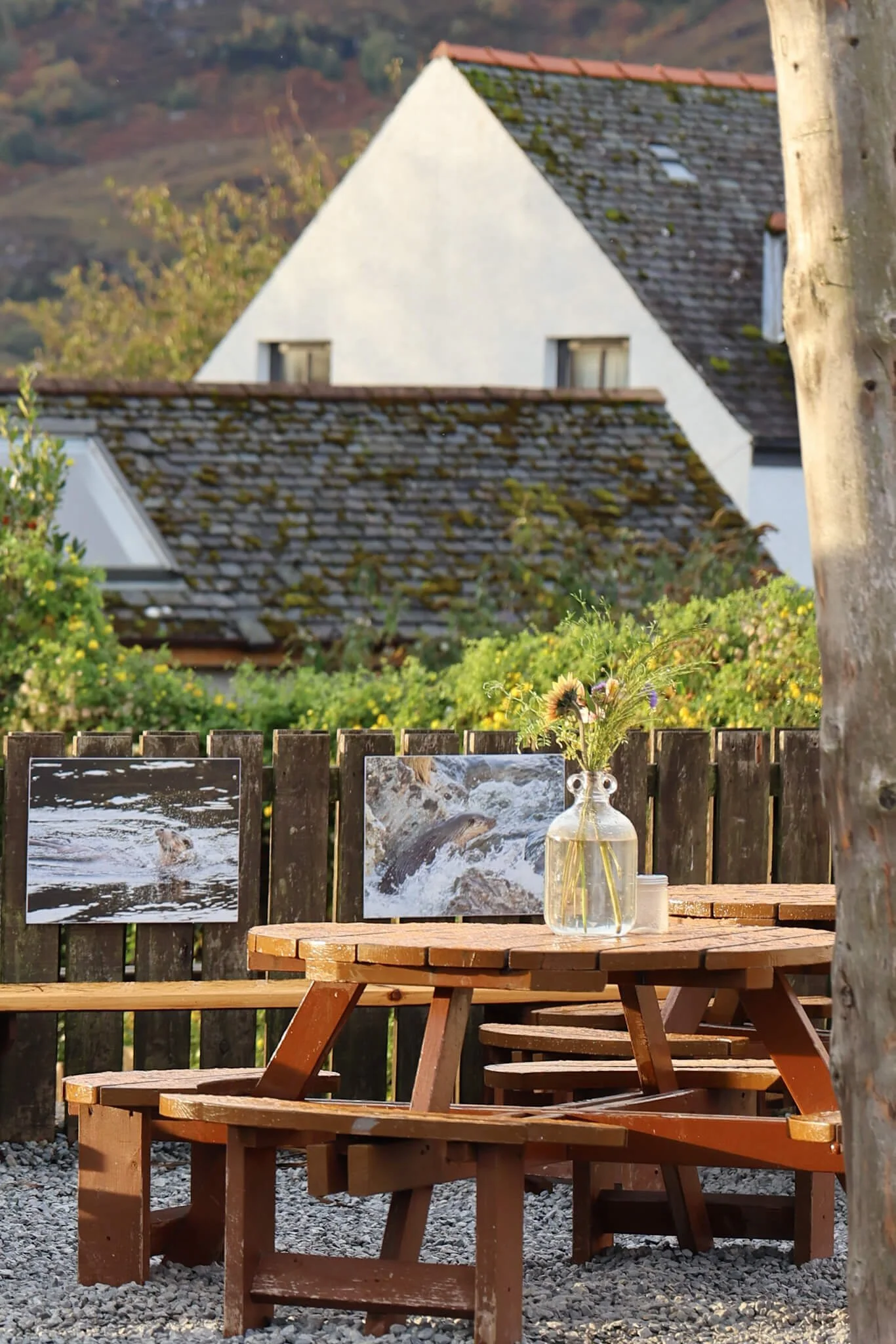 Ullapool-Seafood-Shack-Tables-Wander-Scotland.jpg