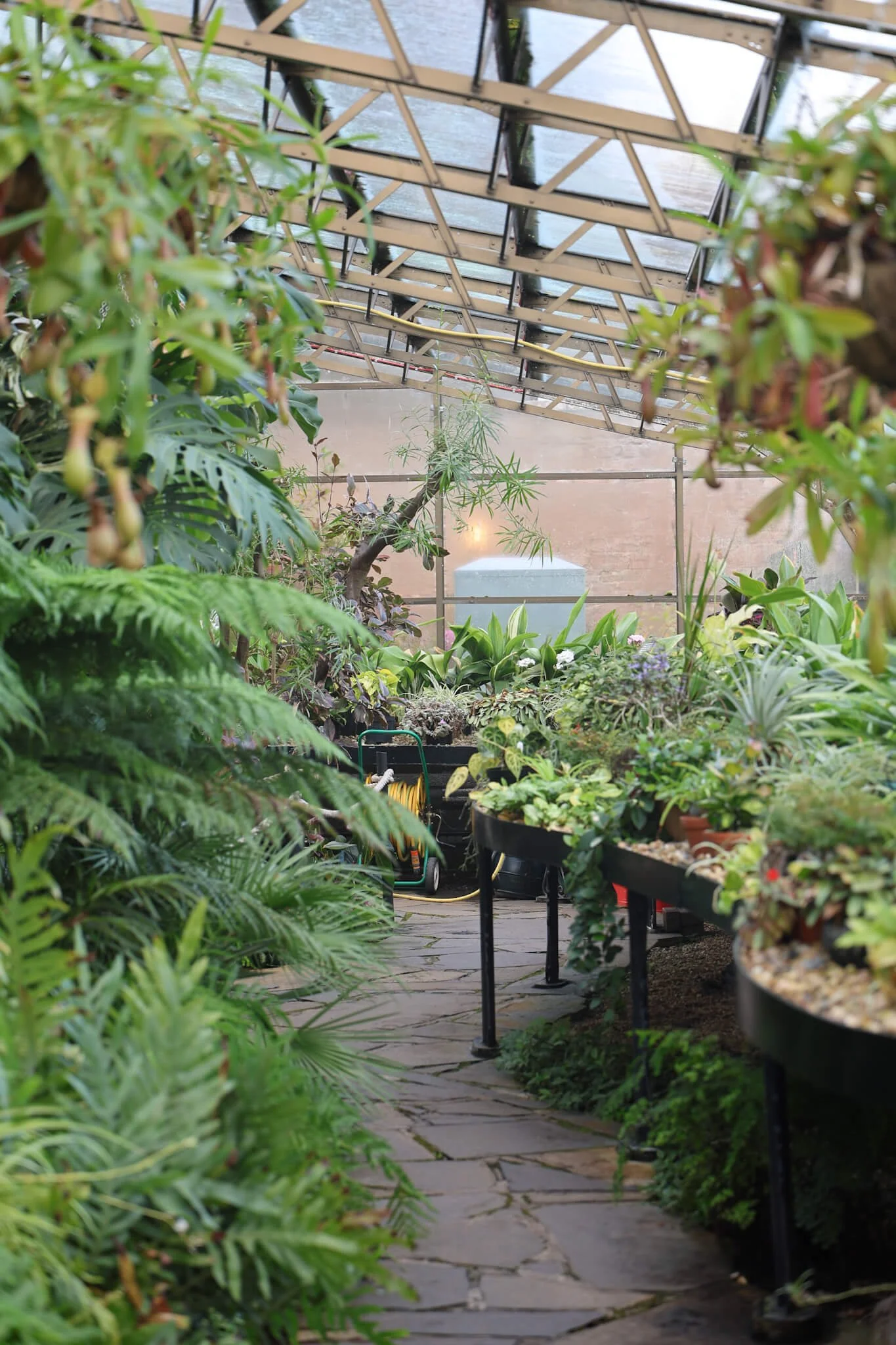 The-Complete-Guide to-Inverness-Scotland-Botanic-Gardens.jpg