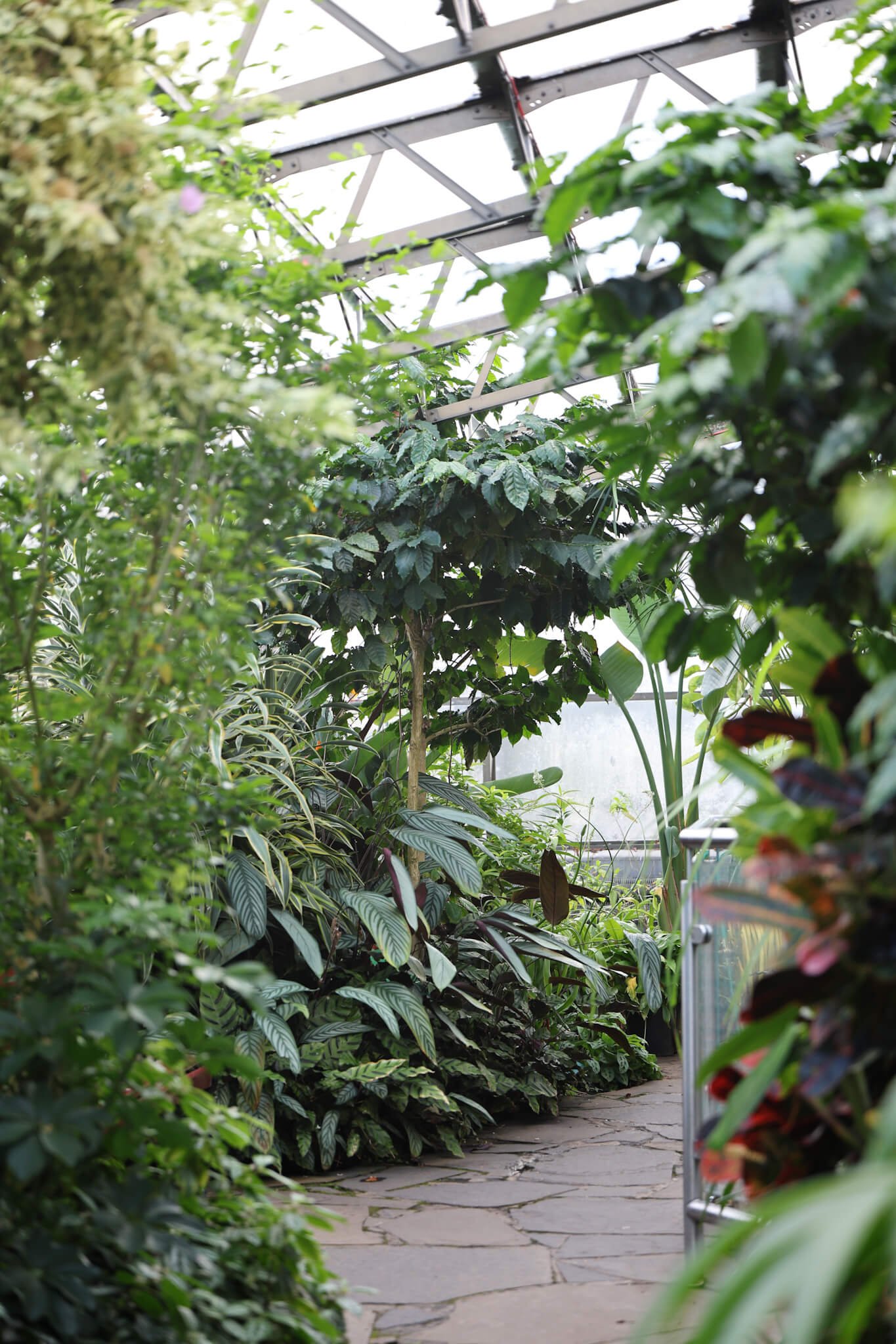 Best-Things-To-Do-Inverness-Scotland-Botanic-Gardens.jpg