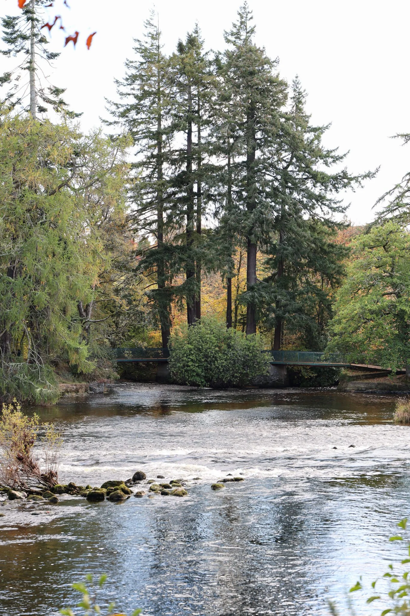 Best-Things-To-Do-Inverness-Scotland-Ness-Islands-Walk.jpg
