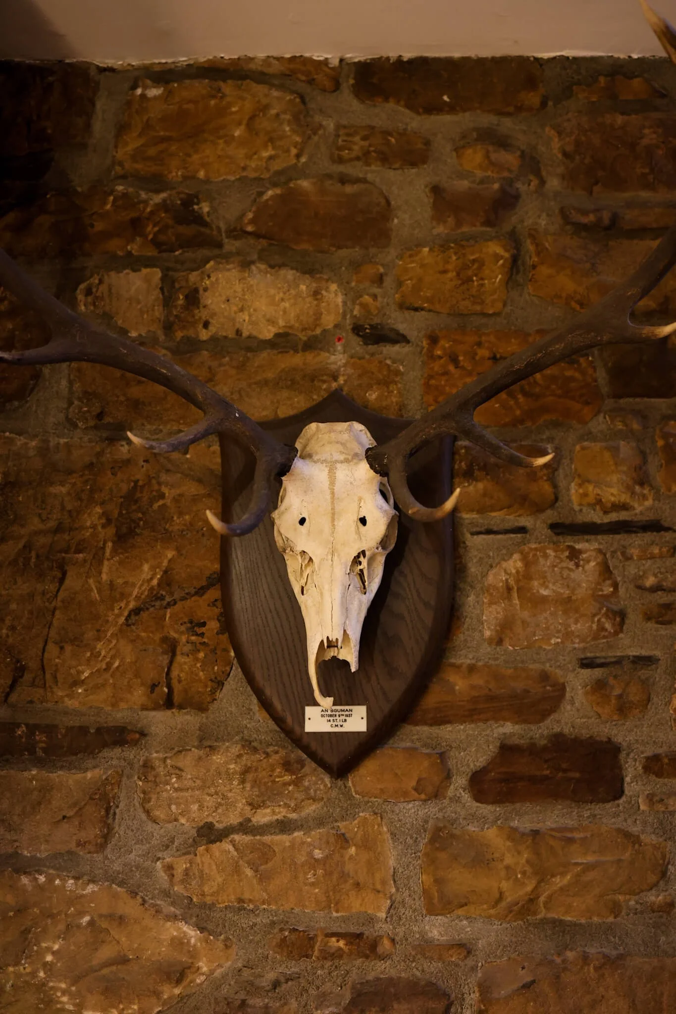 Best-Things-To-Do-Dornoch-Whisky-Bottle-Shops.jpg