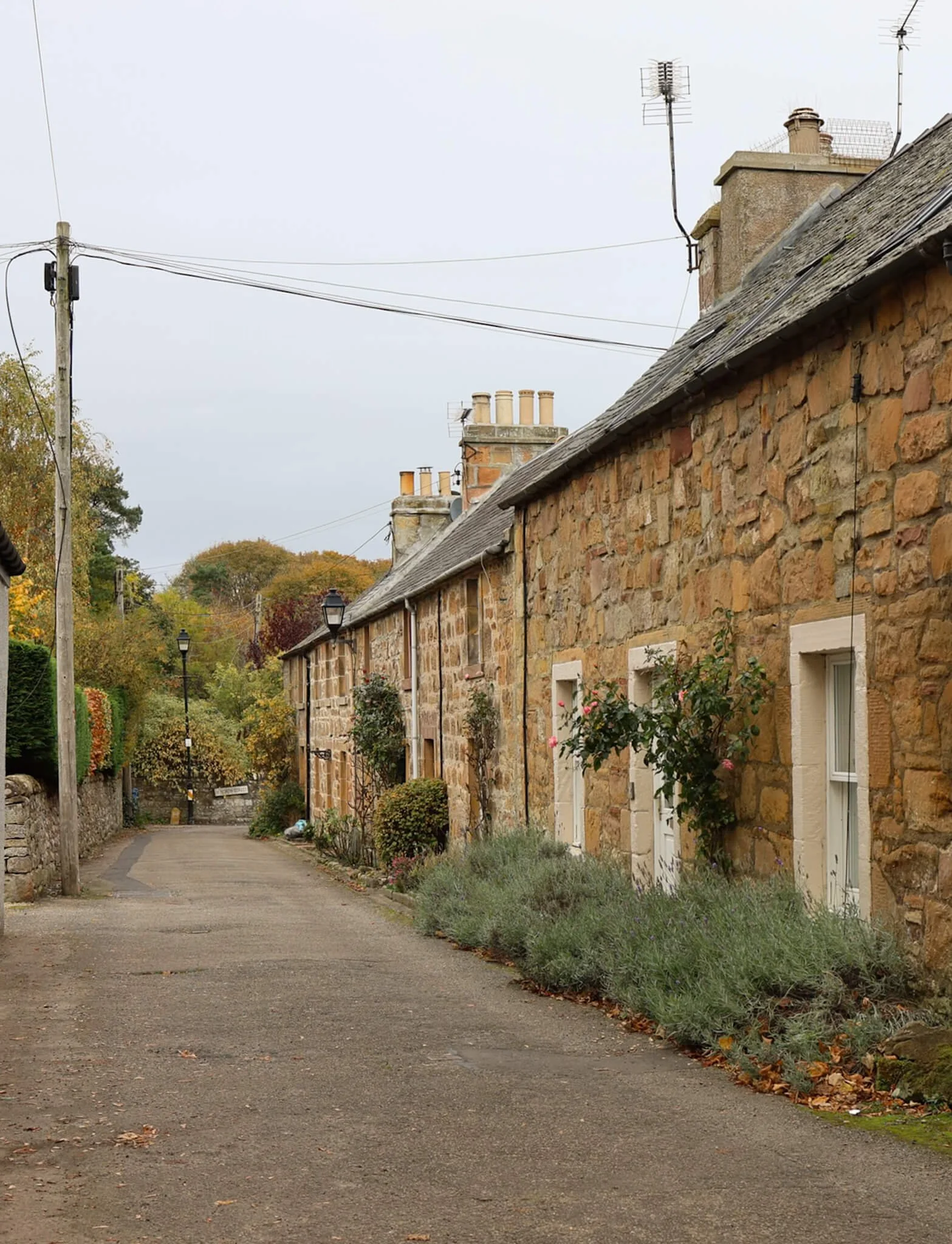 Best-Things-To-Do-Dornoch-Scotland-Charming-Cottages.jpg