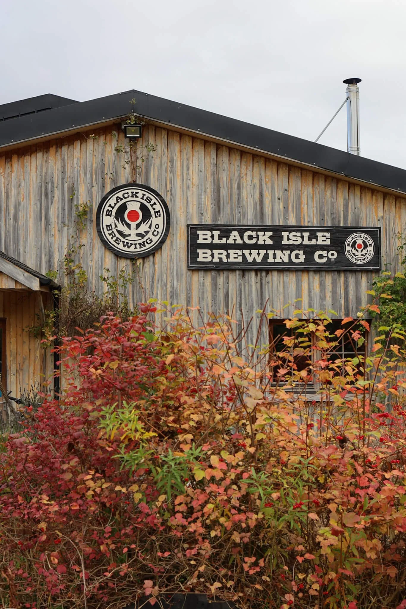 Craft-Beer-Inverness-Black-Isle-Brewery-Tours.jpg