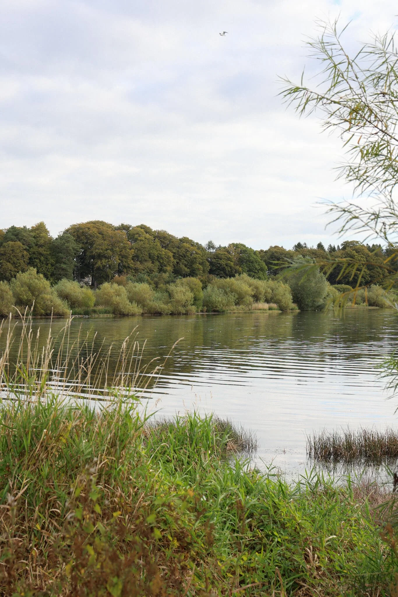 Perthshire-Most-Beautiful-Towns-To-Visit-Kinross-Loch.jpg