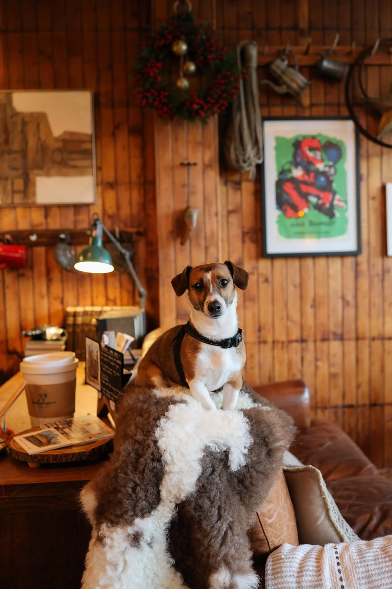 Best-Things-To-Do-In-Aberfeldy-Perthshire-Dog-Friendly-Cafe.jpg