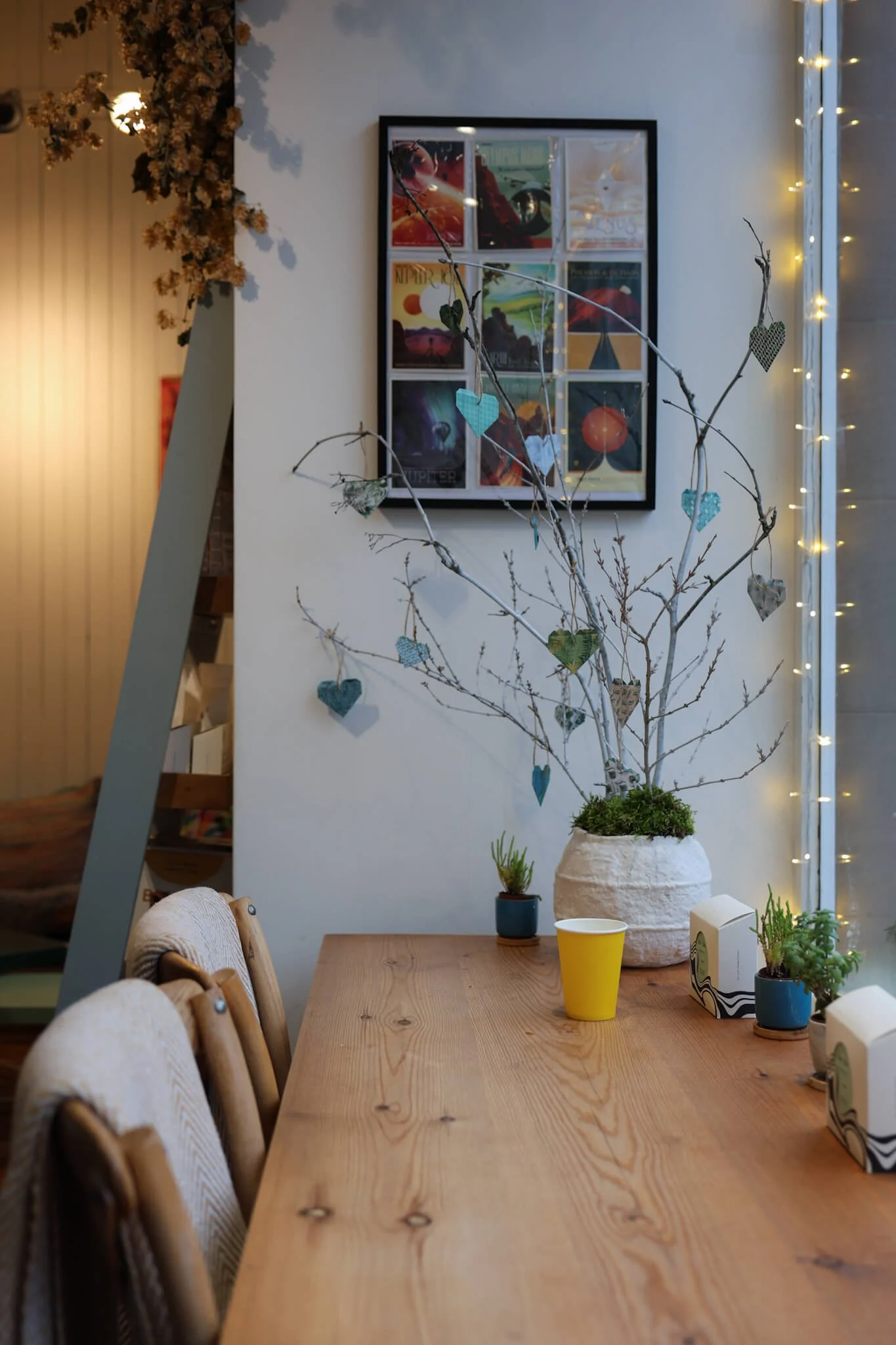 ems-and-co-crieff-interior-counter.jpg