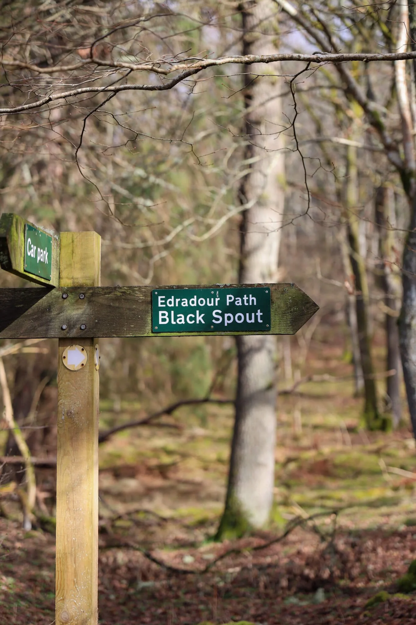 pitlochry-black-spout-walk-signpost.jpg