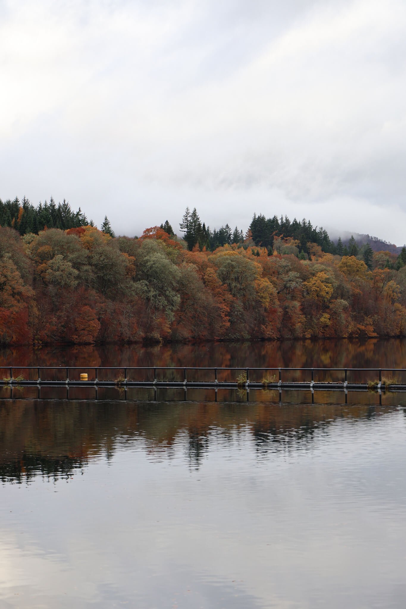 pitlochry-dam-walking-path-scotland.jpg