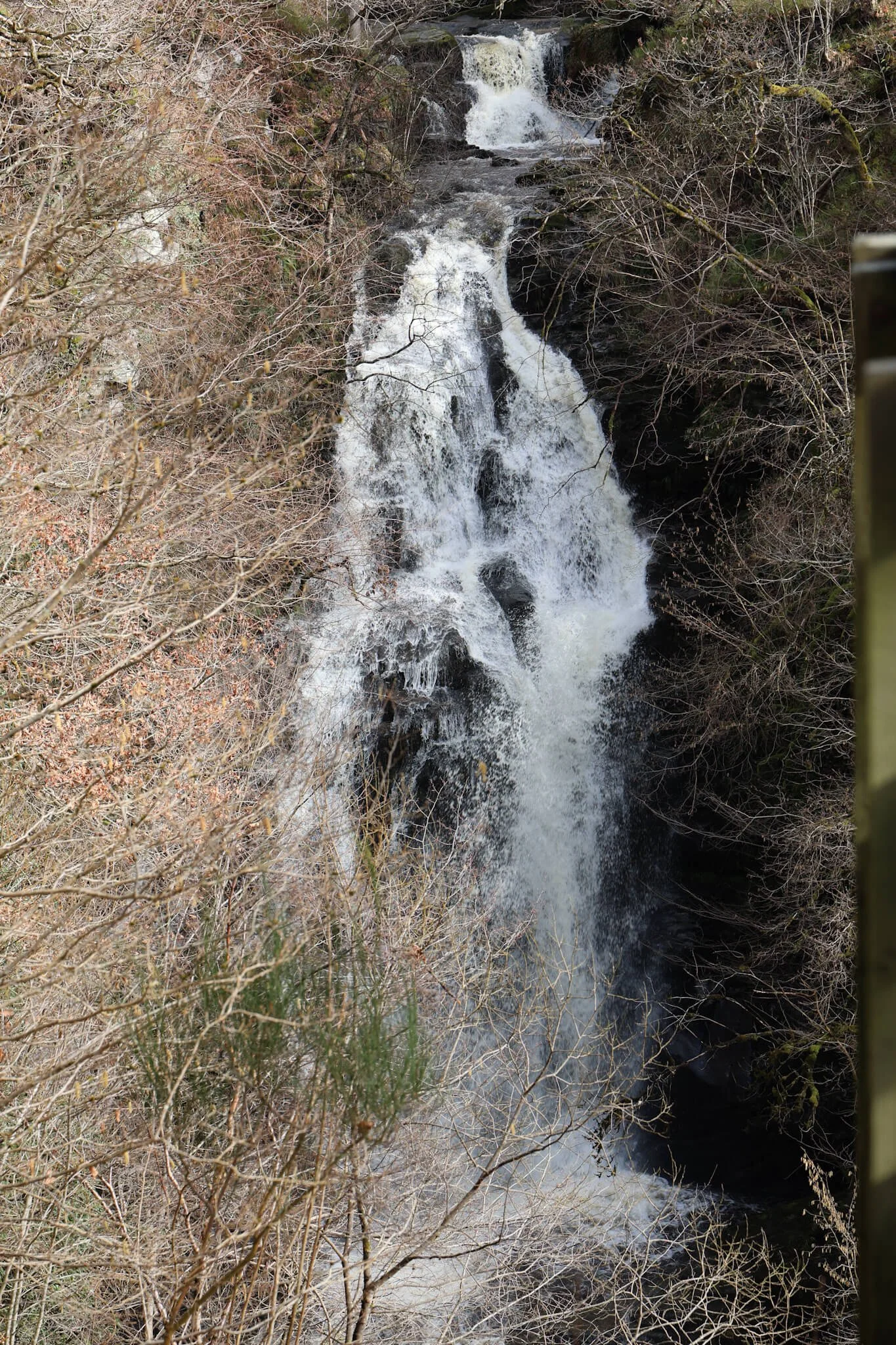 pitlochry-black-spout-waterfall-walk-scotland.jpg