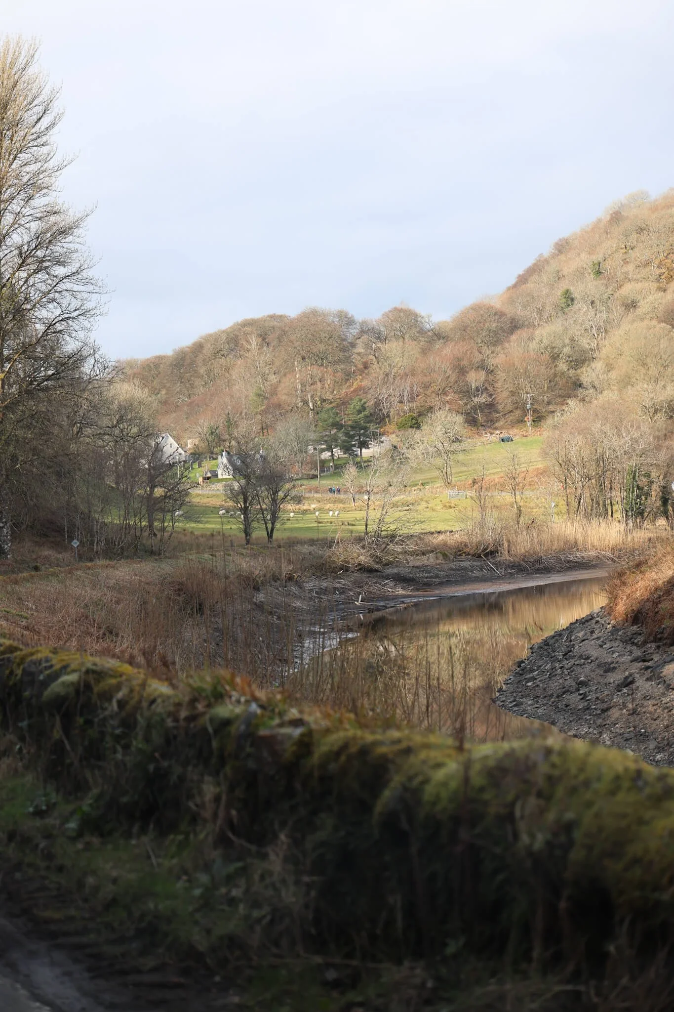crinan-forests-walk-scotland.jpg