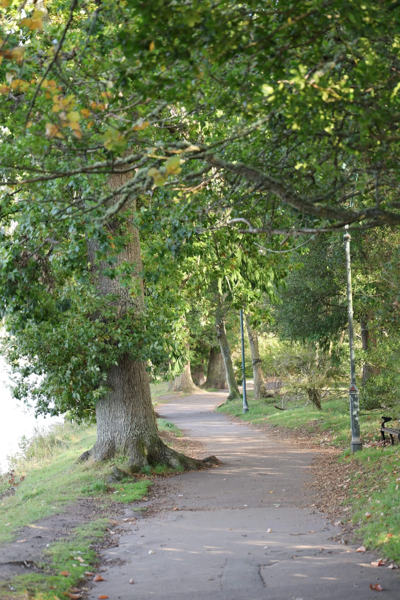 Inverness-ness-islands-path.jpg