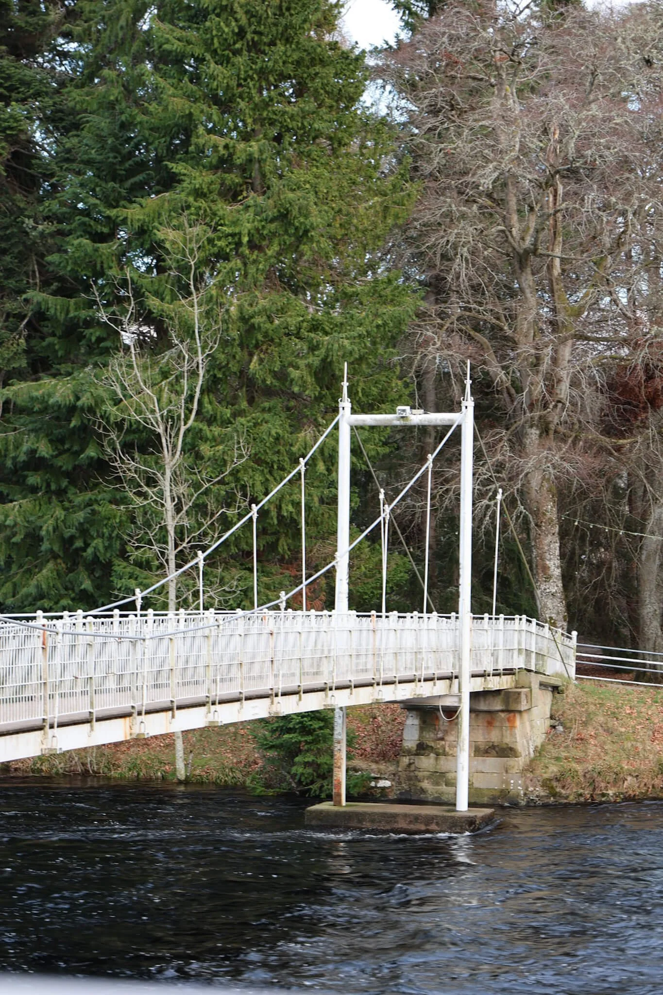 Inverness-ness-islands-walking-path.jpg
