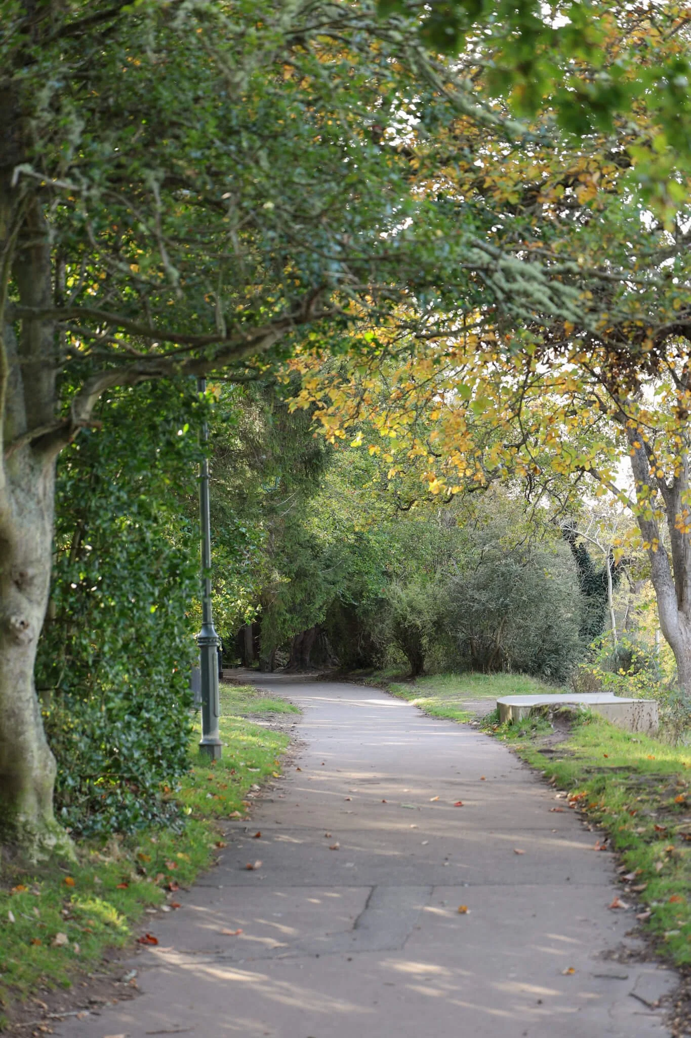 Inveress-ness-islands-riverside-path.jpg