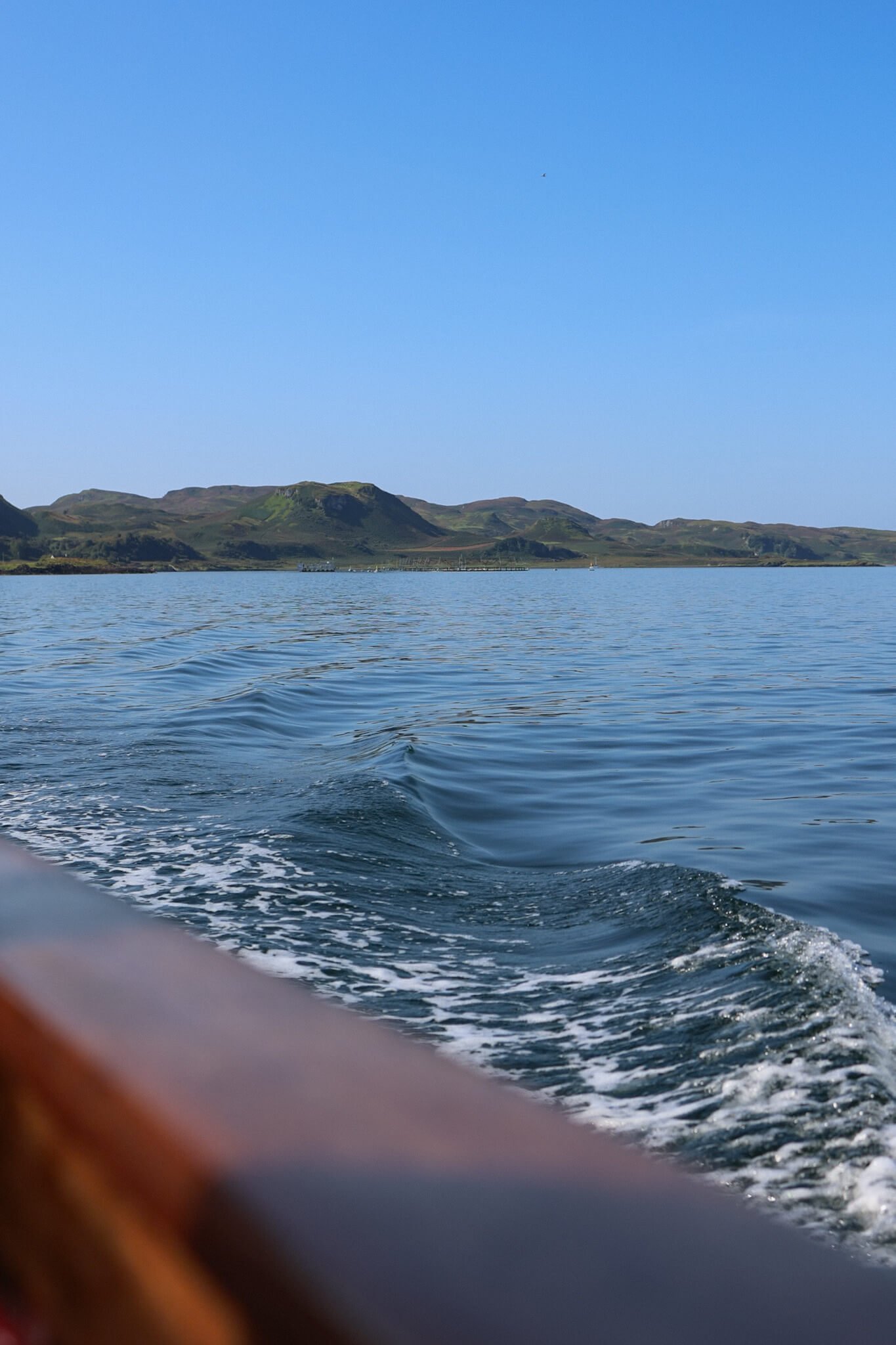 Oban-boat-trip-dolphin-spotting.jpg