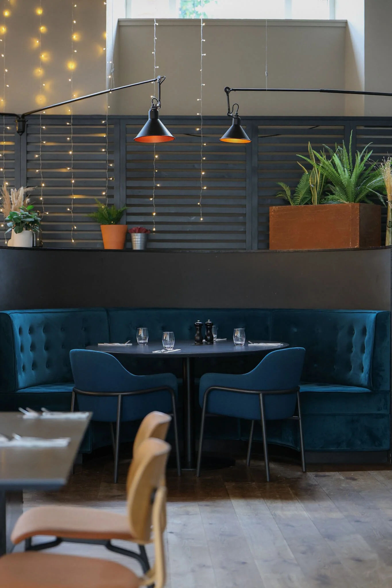 Daisy-Tasker-Dundee-restaurant-plush-booths.jpg