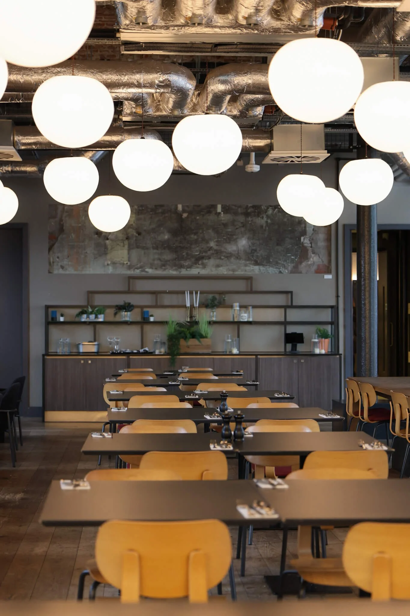 Daisy-Tasker-Dundee-restaurant-inside.jpg