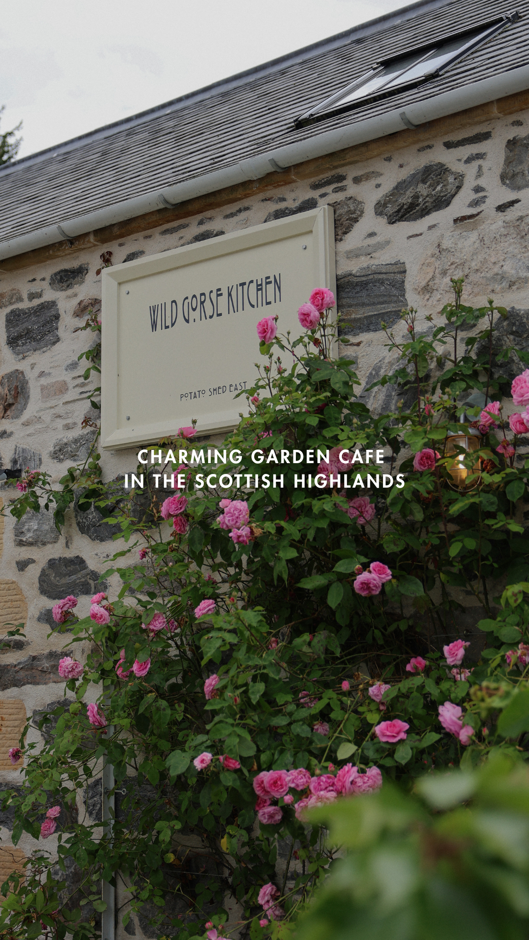 Coffee &amp; Bakes at Wild Gorse Kitchen, Scottish Highlands (Video)