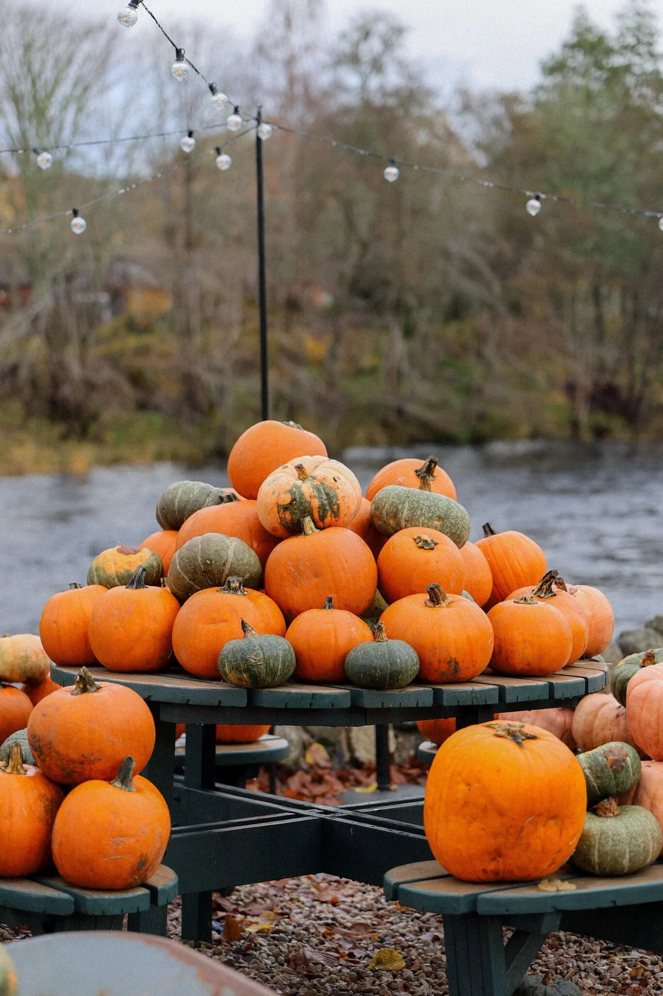 Pumpkin-Picking-Locations-in-Scotland-This-Year.jpg