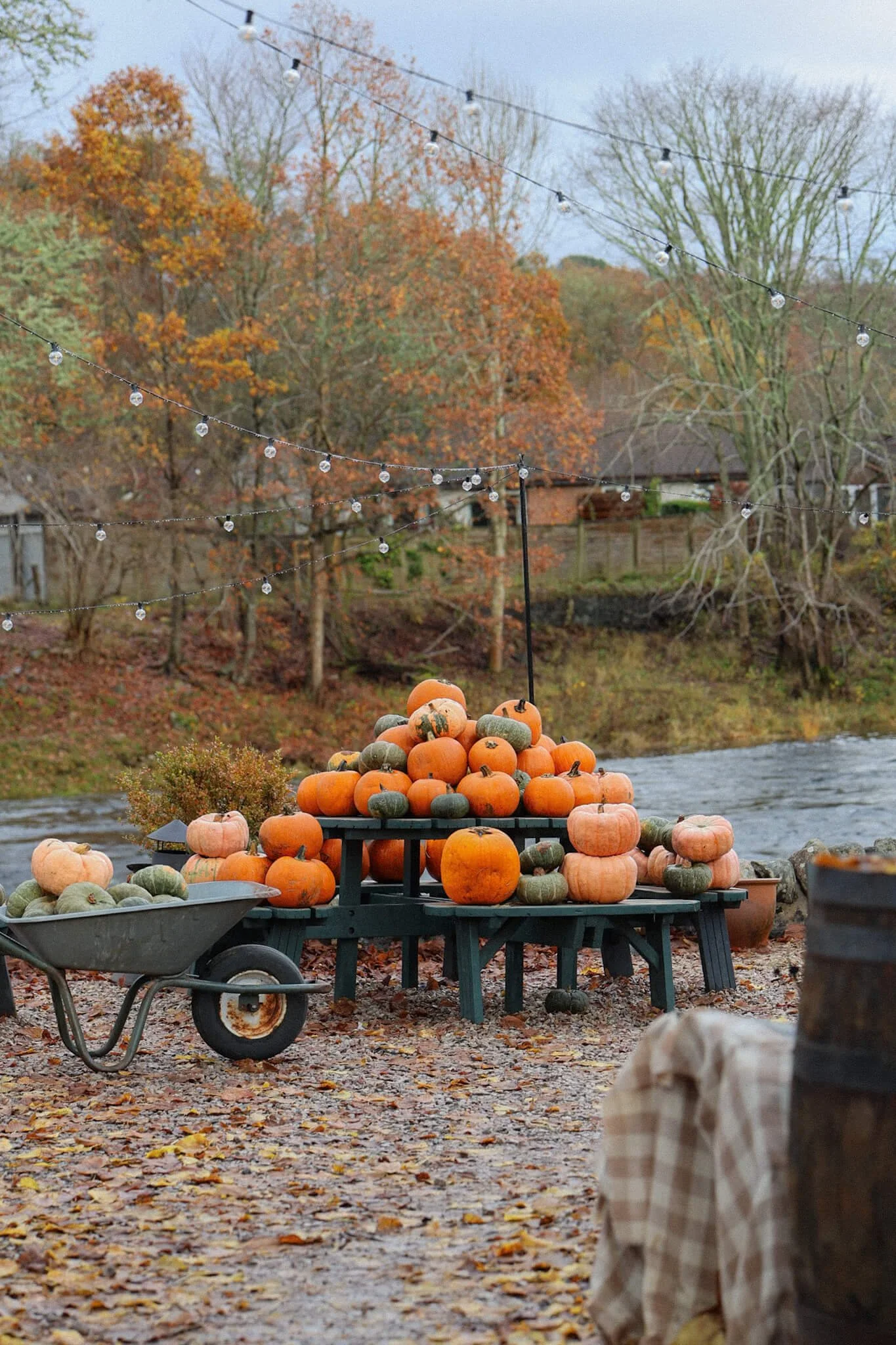 Pumpkin-Picking-Pactches-in-Scotland-This-Year.jpg