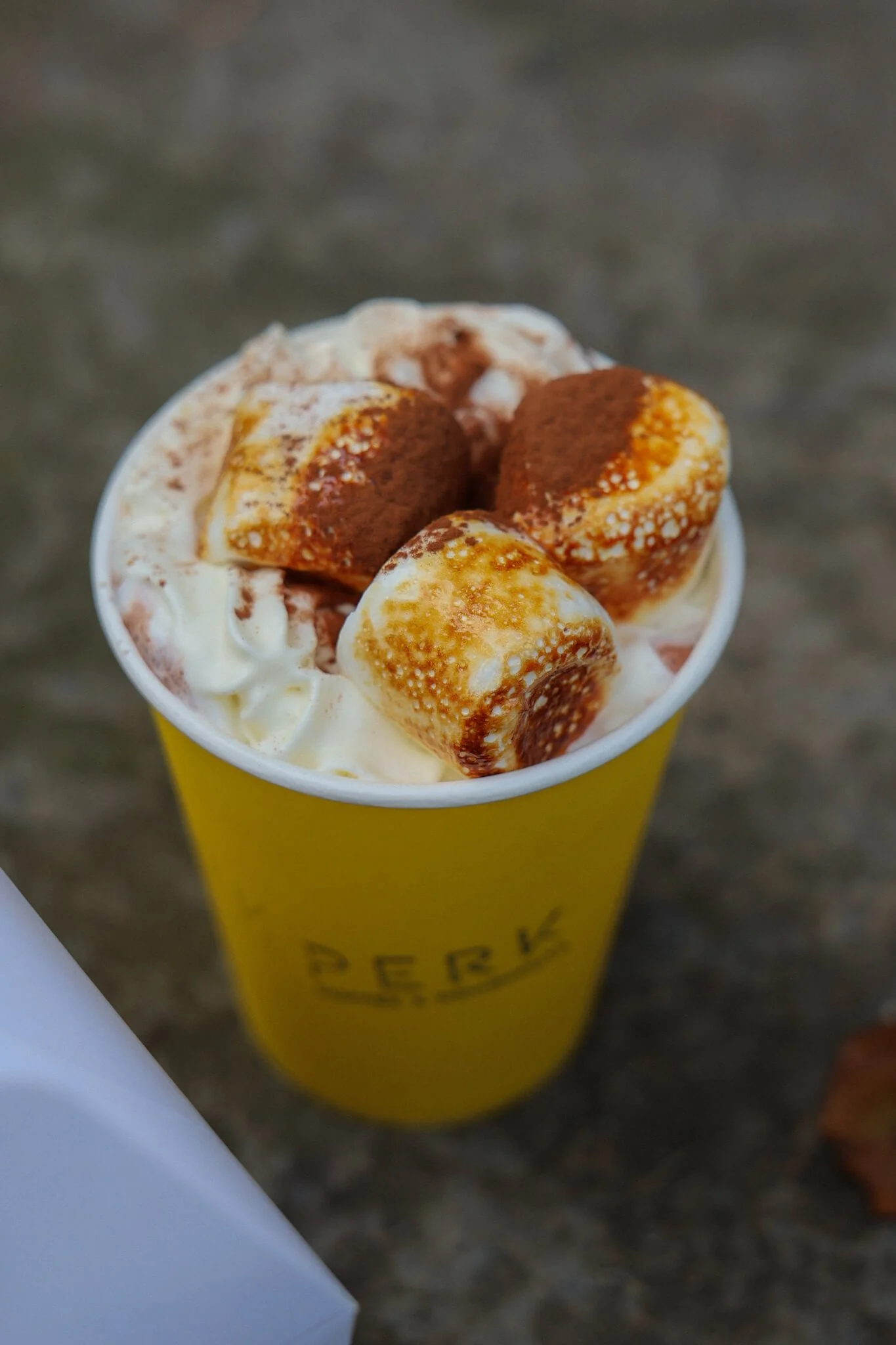 Best-Hot-Chocolate-Scottish-Highlands-Perk-Inverness.jpg