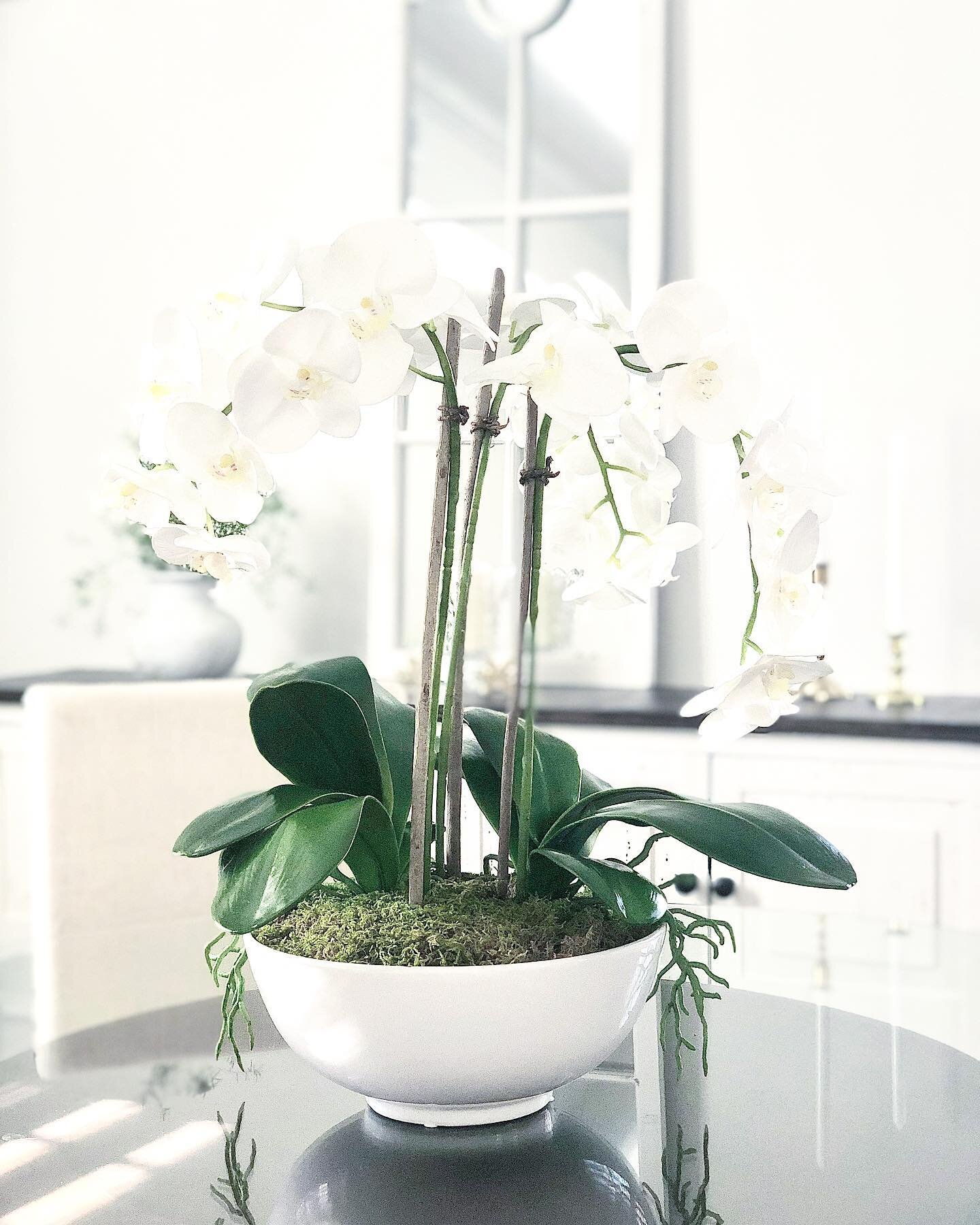 Glass top dining room table with white orchid centerpiece.
Distinctive &bull; Simple &bull; Elegant

Dwell Style Interiors
www.dwellstyleinteriors.com 

#diningroomdecoration #diningroomtablecenterpiece #diningroomtablecenterpieces #whiteorchidcenter