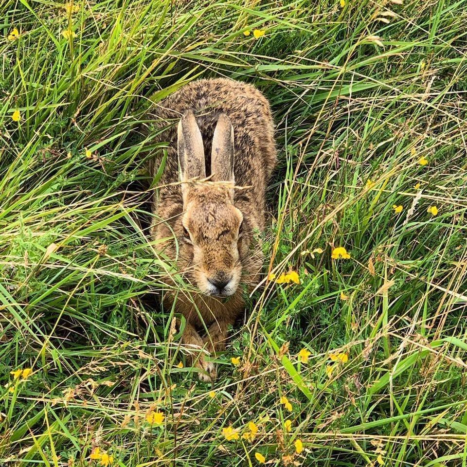 Embrace the beauty of spring at Came Down!

Escape the hustle and bustle of everyday life and reconnect with nature amidst rolling hills and ancient woodlands. Our club offers more than just a round of golf &ndash; it&rsquo;s a chance to unwind and f