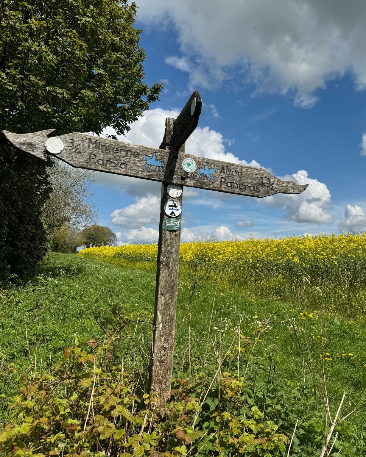 Lace up your boots for Dorchester Walking Festival 🥾🥾 Here at Came Down, we are so lucky to be surrounded by breath-taking rural landscapes and plenty of scenic walking routes. 

As a golfer, you may also be a keen walker. Whether you like a gentle