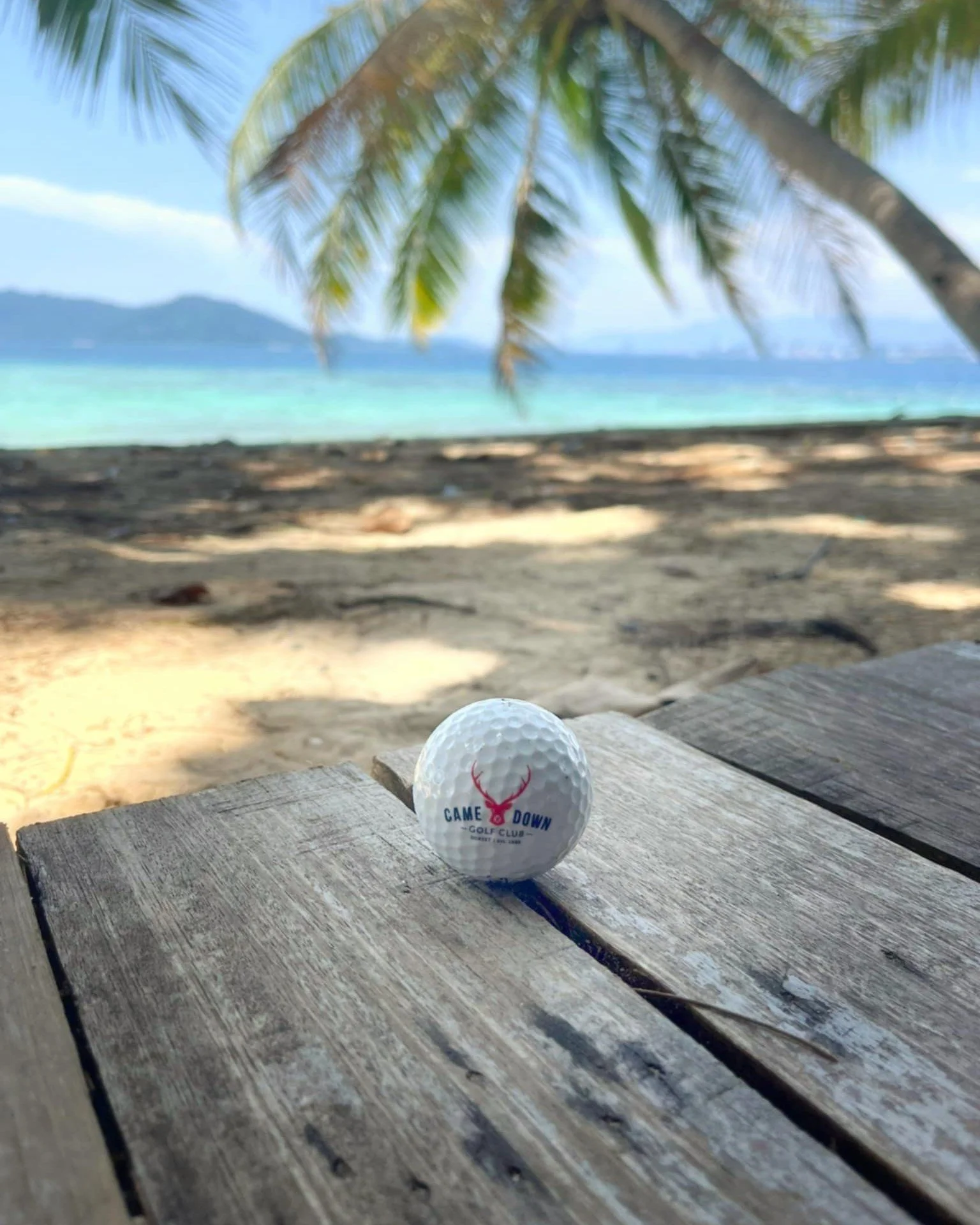 🌿 A Huge Thank You from Borneo 🌿 Hali Cumber is currently enjoying an incredible experience in Borneo and sends heartfelt thanks to everyone who supported her and Ross Cumber&rsquo;s 100-hole golf fundraising challenge at Came Down Golf Club ⛳️💚

