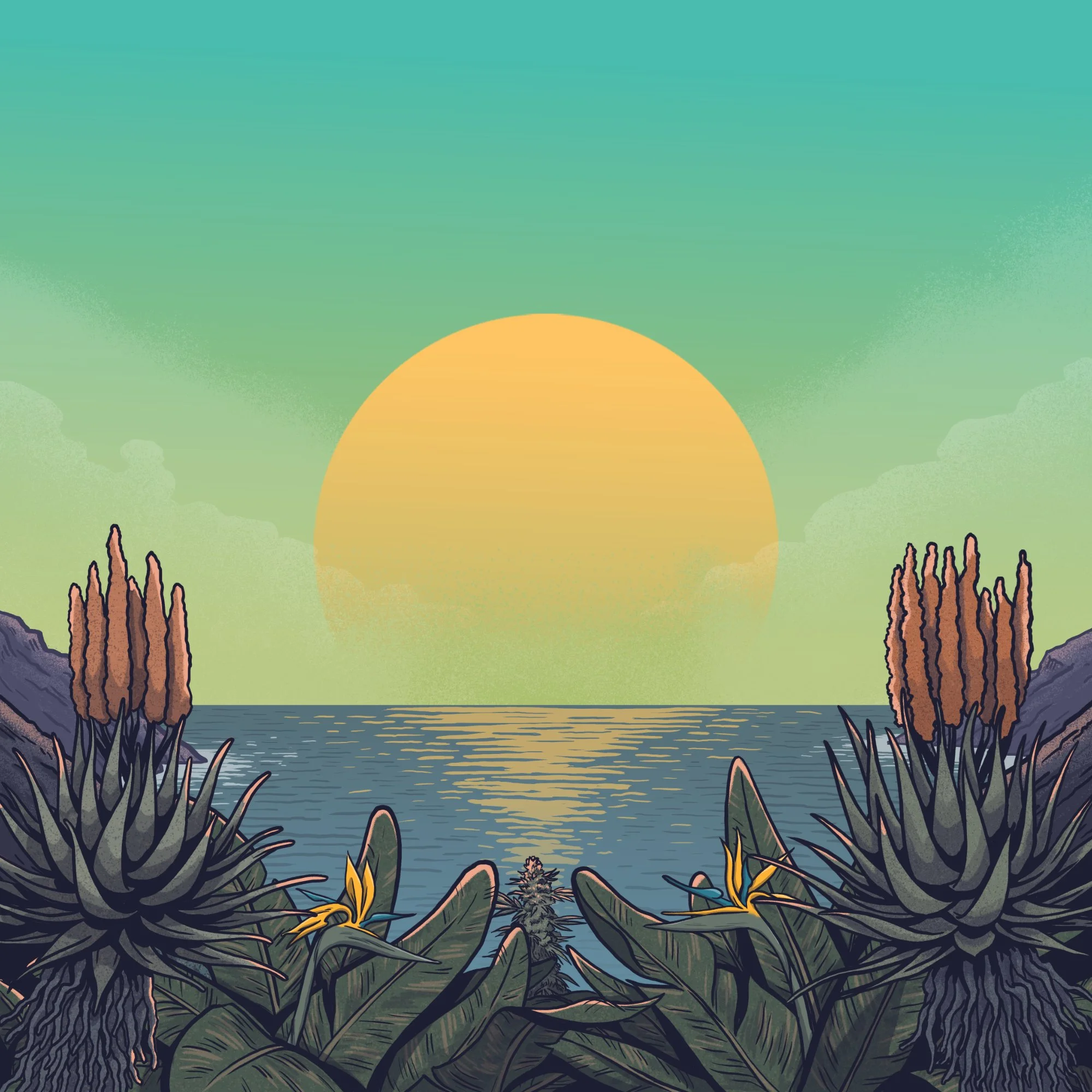7Suns album art