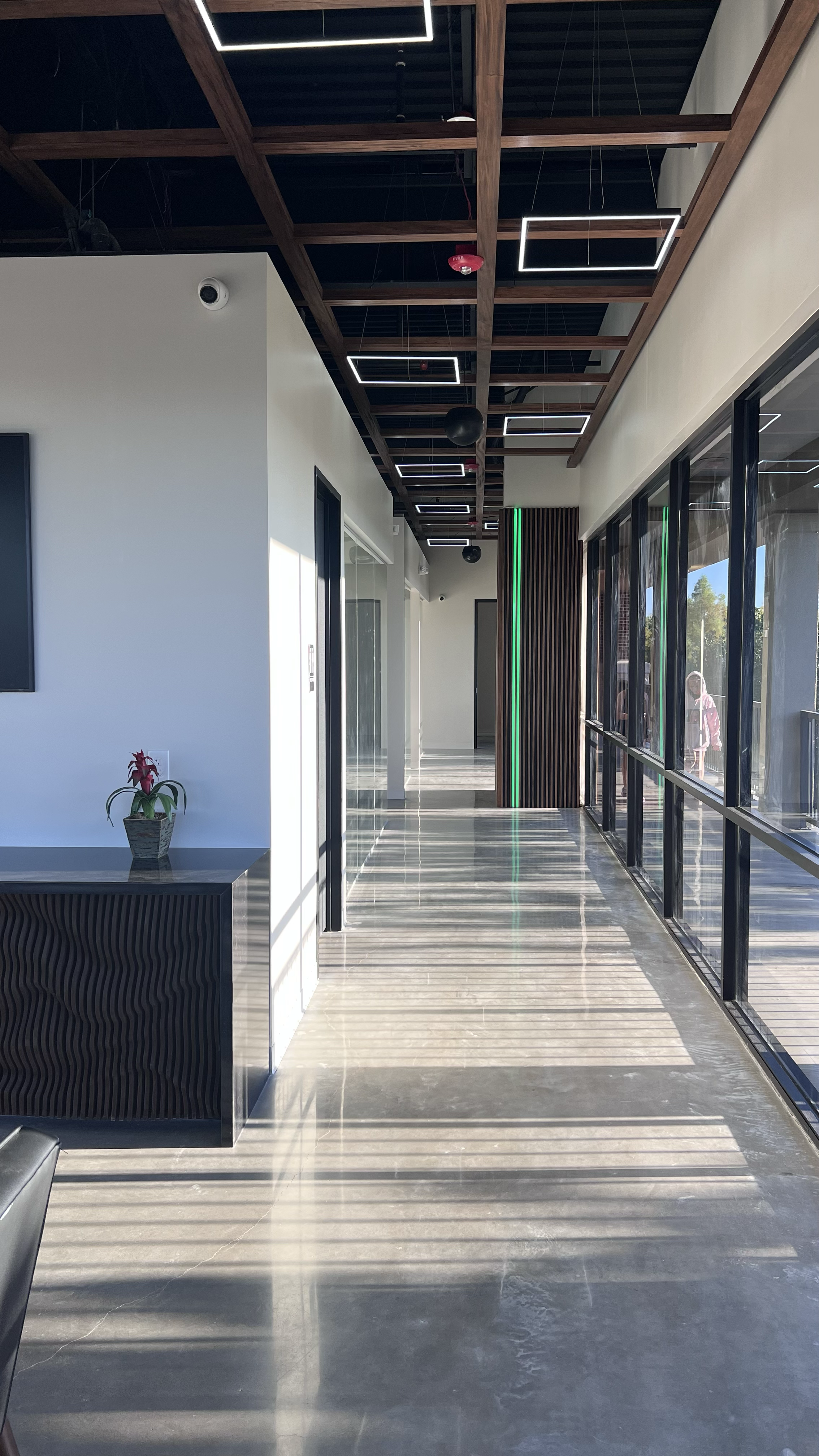 Contemporary Endo. Sugarland