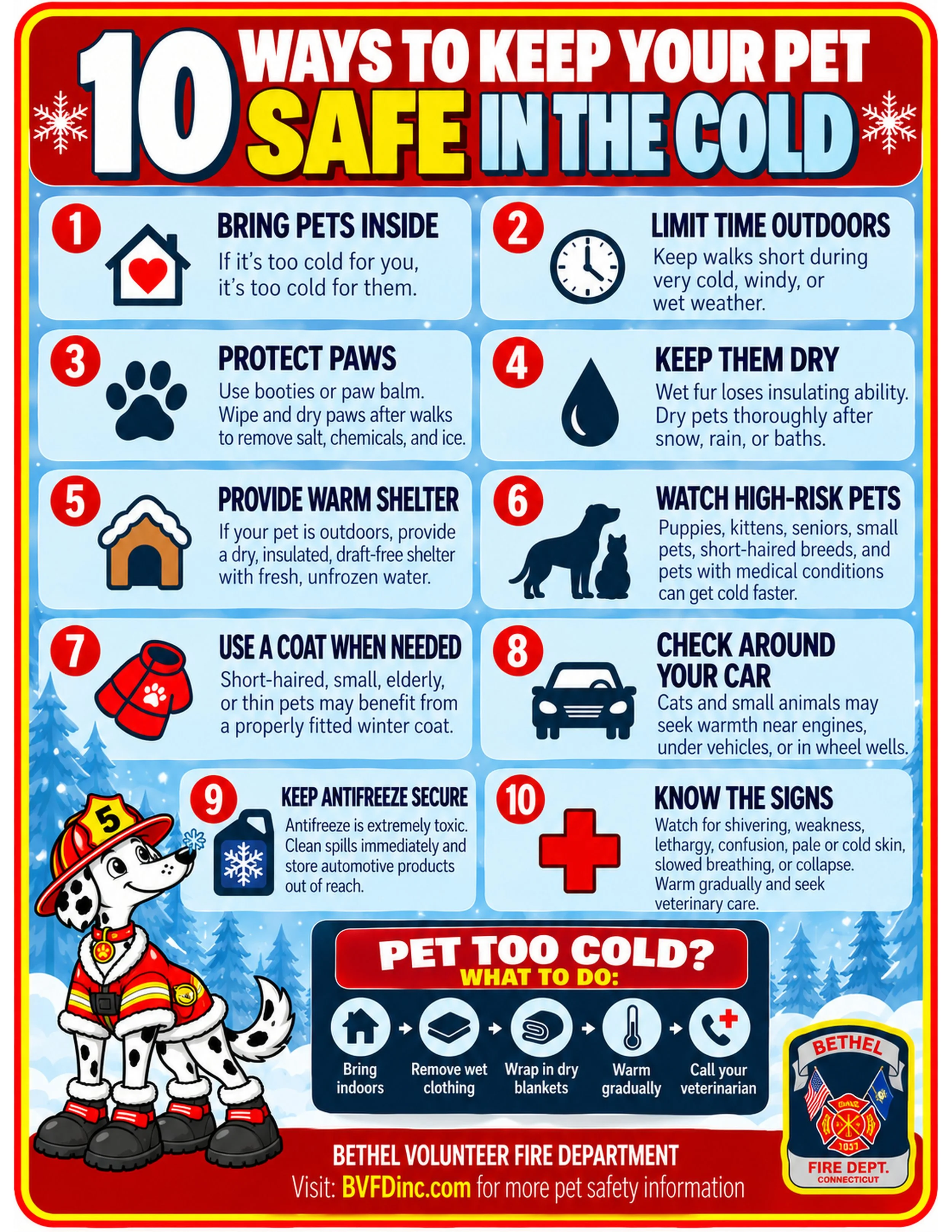 BVFD_Winter_Pet_Safety_8.5x11_300dpi.jpg