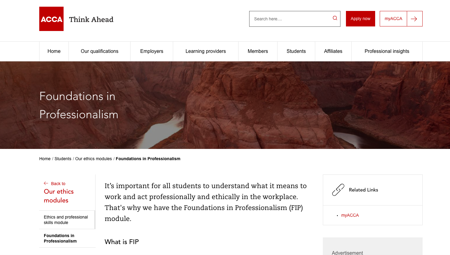 Foundations In Professionalism