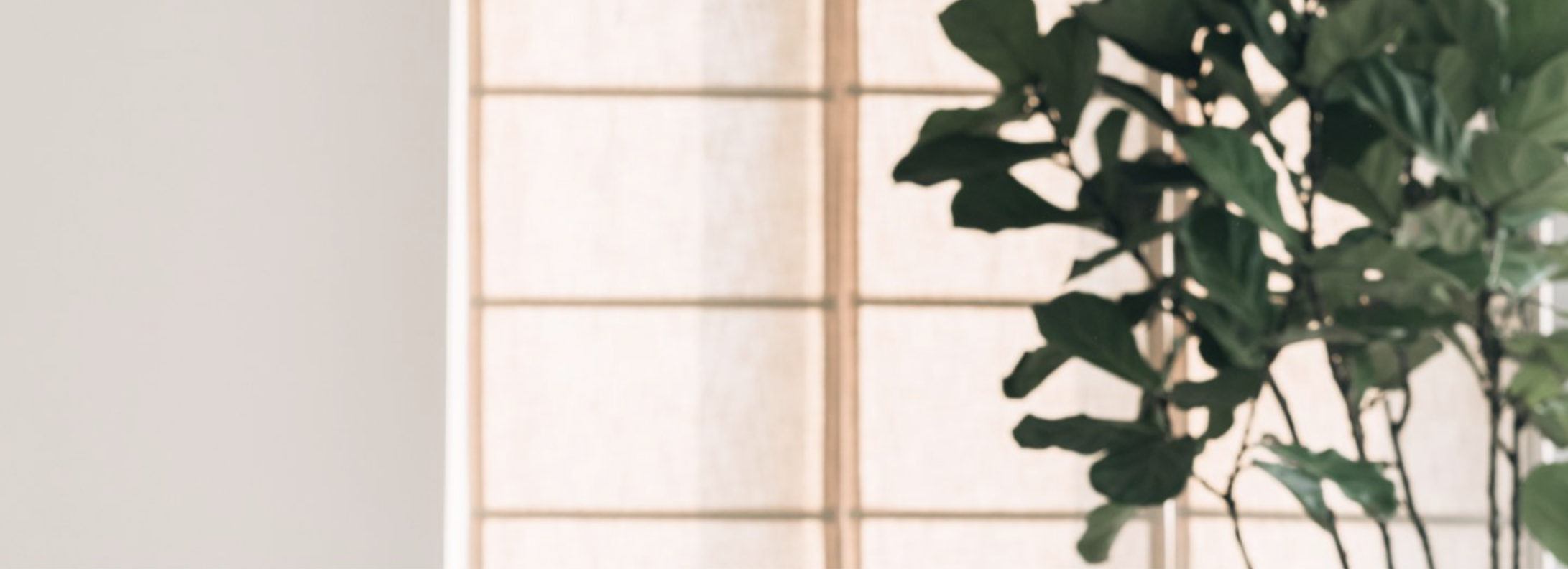 Webinars Accountancy Hub